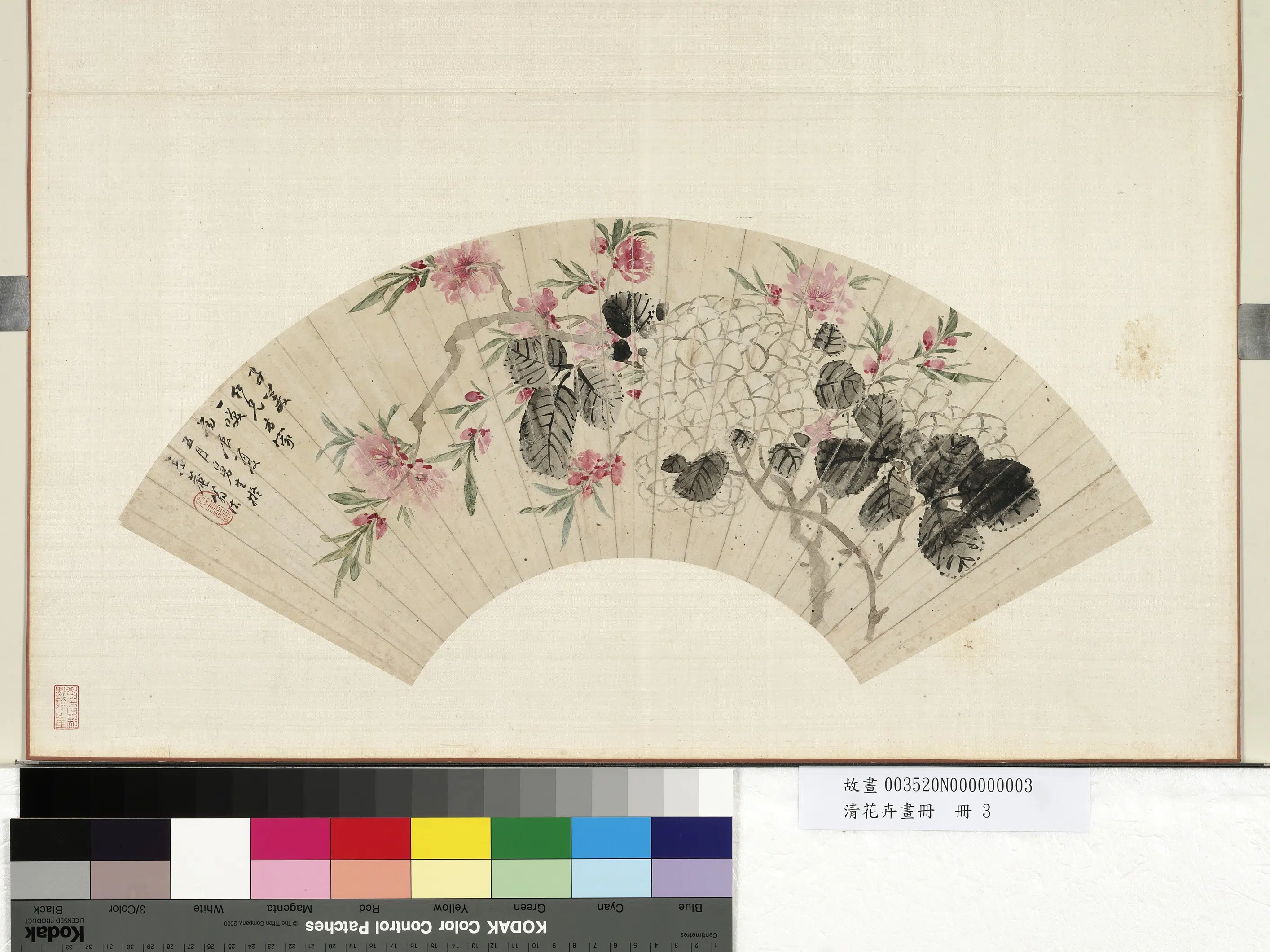 《花卉画册-人桃花绣球》