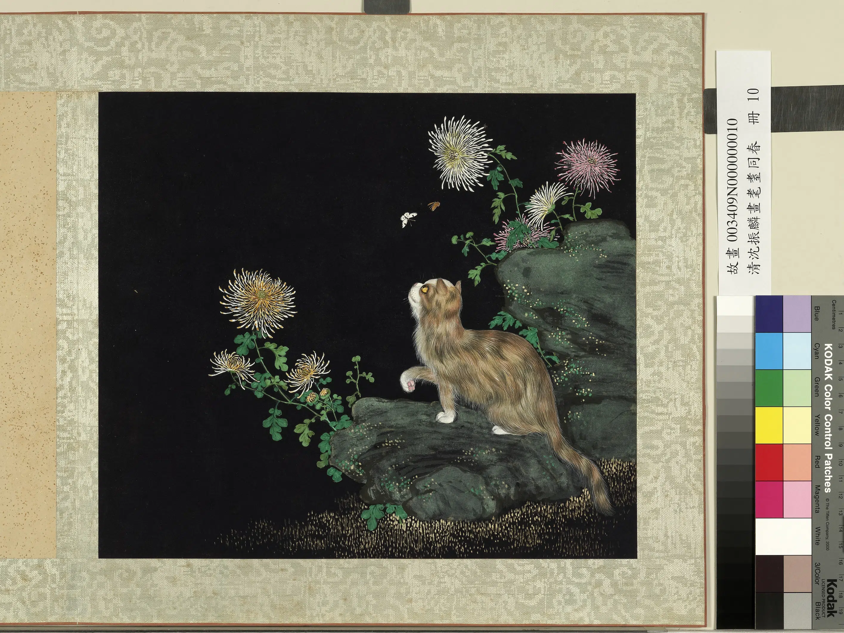 清朝【沈振麟】《画耄耋同春册-2》 第10张 清朝【沈振麟】《画耄耋同春册-2》 第10张