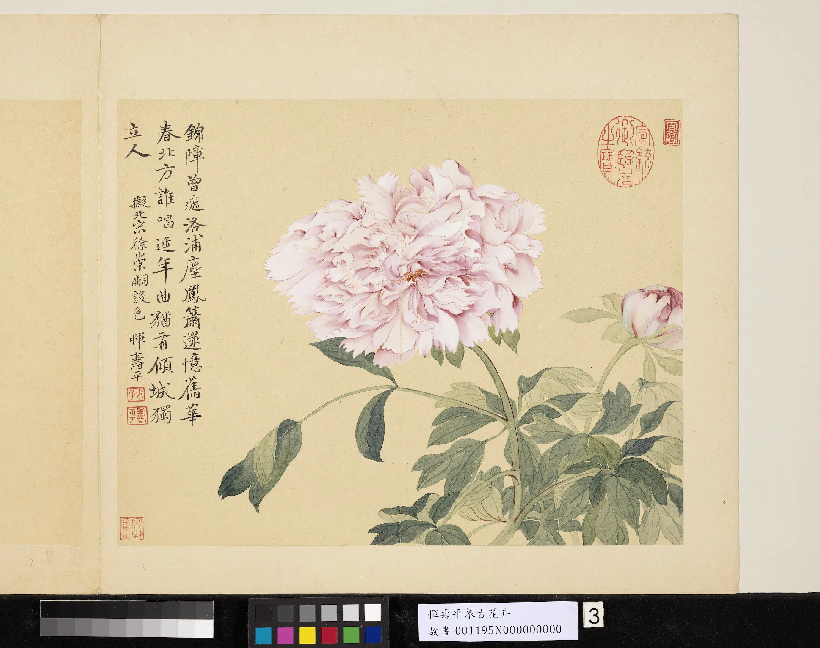 清代【恽寿平】《摹古册-牡丹》