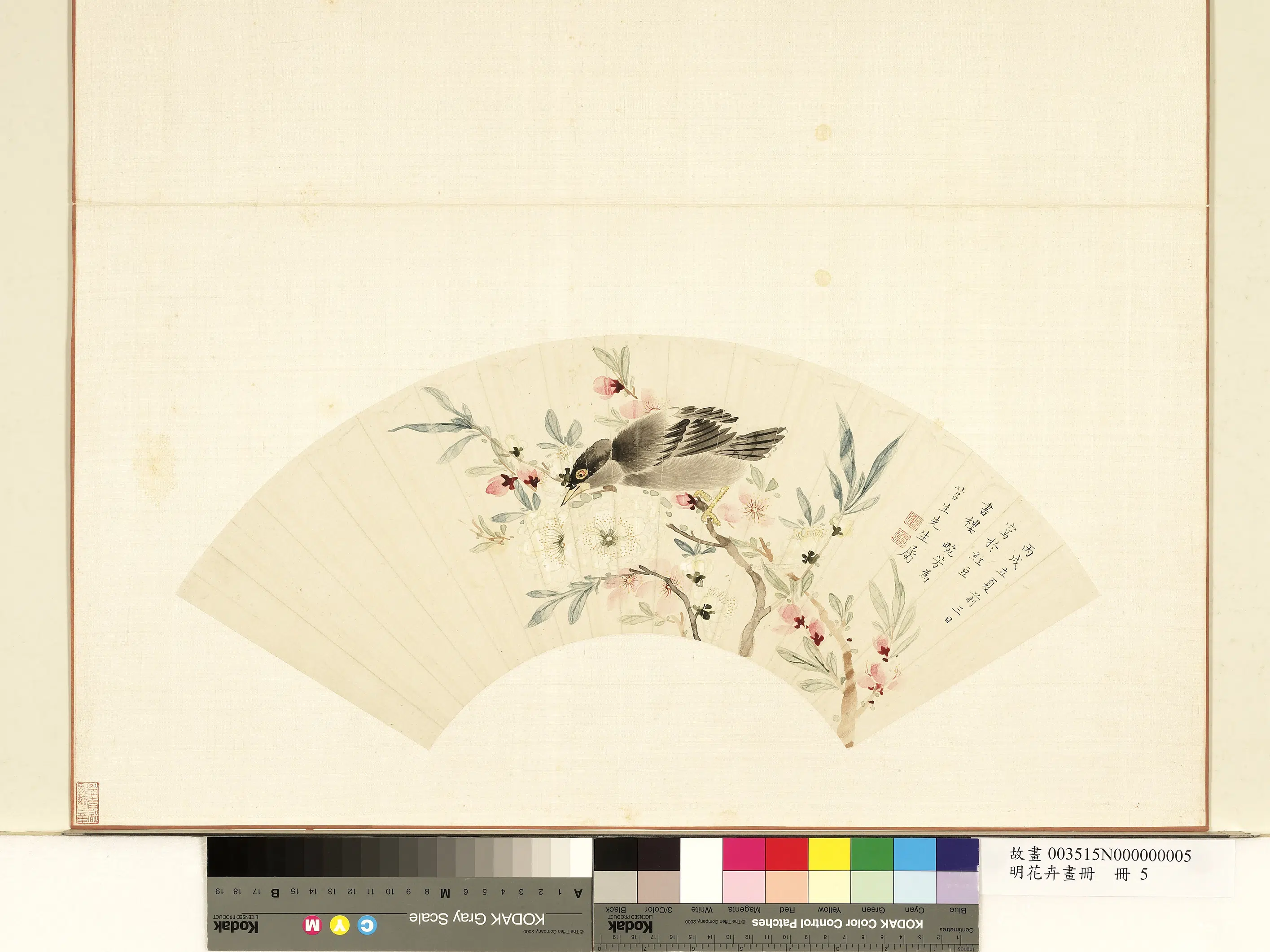清代【顾蕙】《花卉画册-顾蕙桃花翎毛》