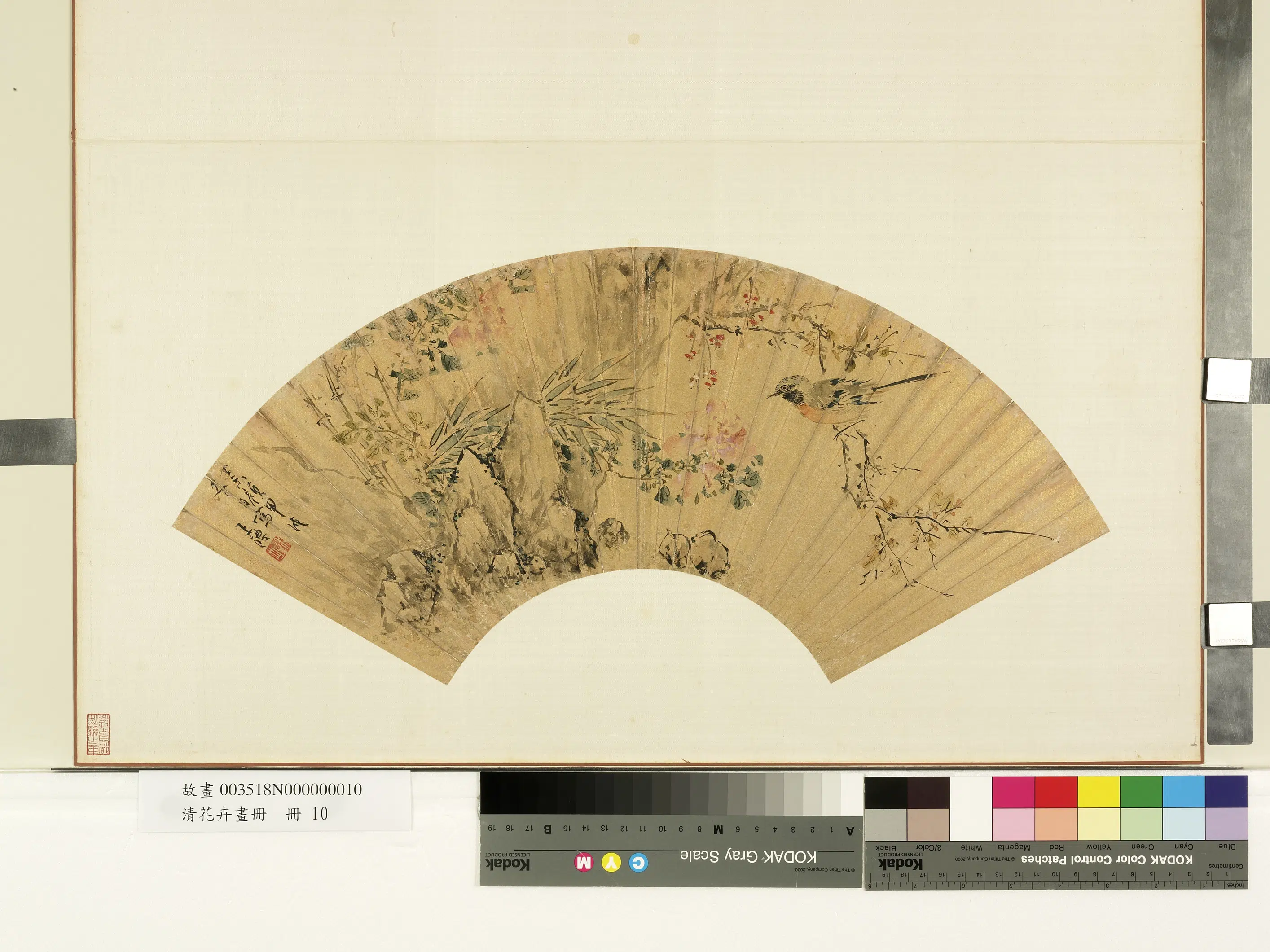 明朝【王醴】《花卉画册-月季》