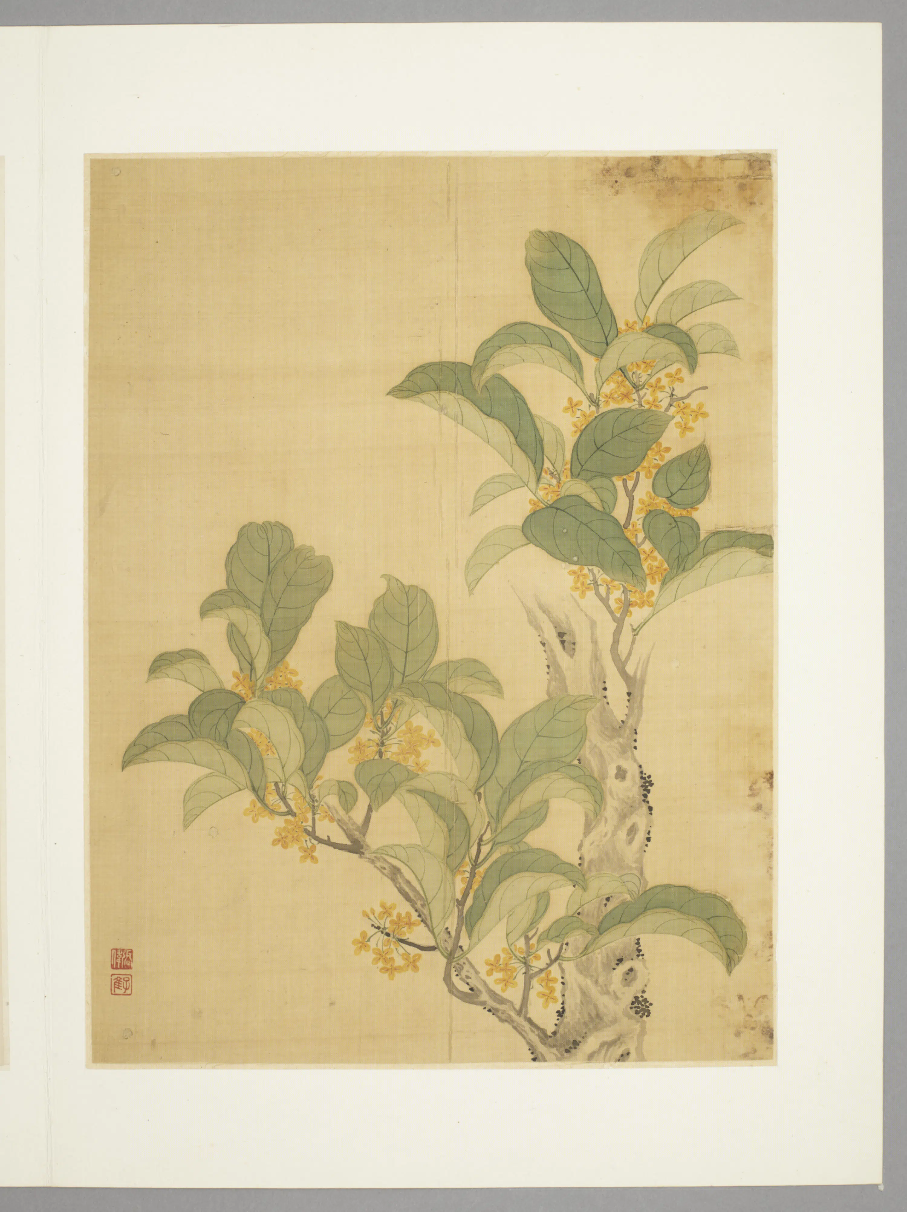 清代【张伟】《花卉册（9开）》 第9张