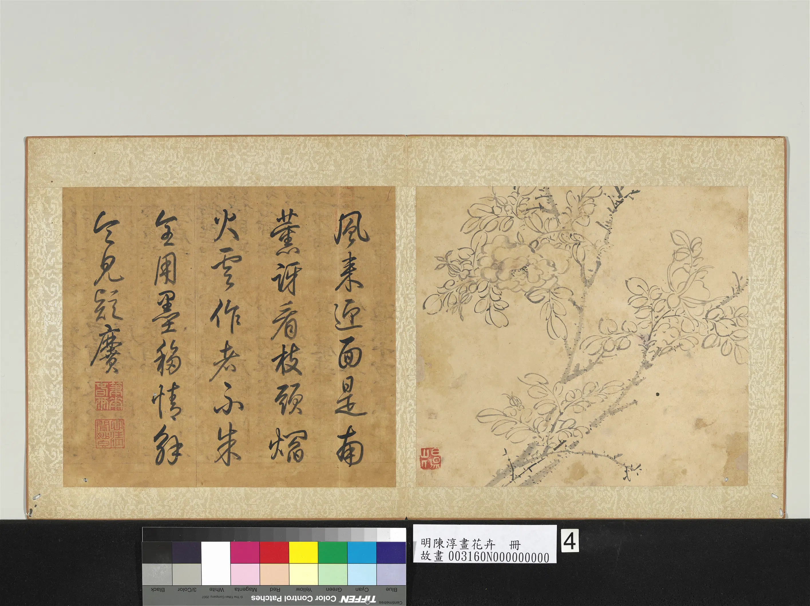 明朝【陈淳（道复）】《画花卉册》 第12张