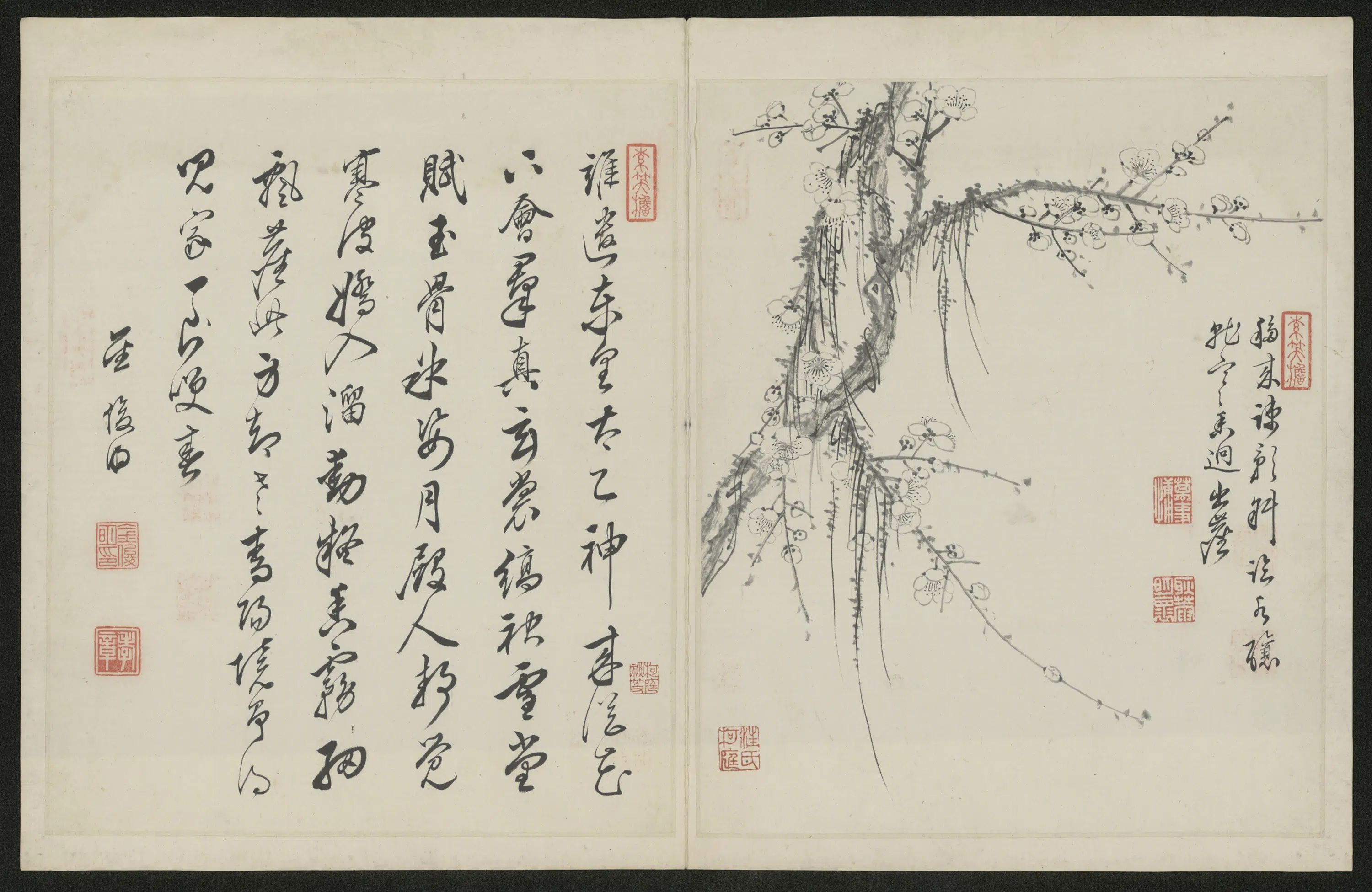 清代【金俊明】《梅花图册-2》 第1张 清代【金俊明】《梅花图册-2》 第1张