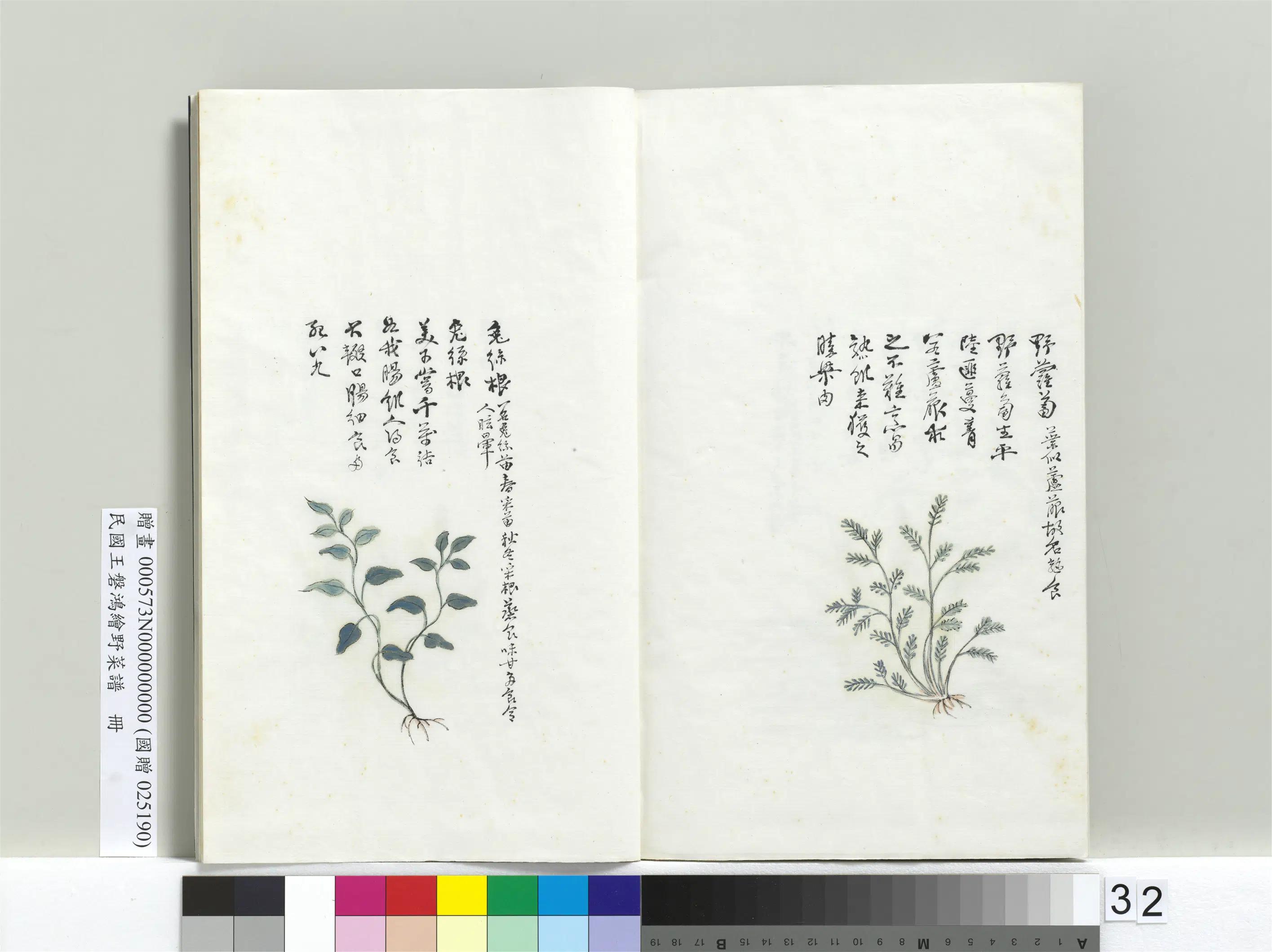 《绘王盘野菜谱册》 第26张 《绘王盘野菜谱册》 第26张