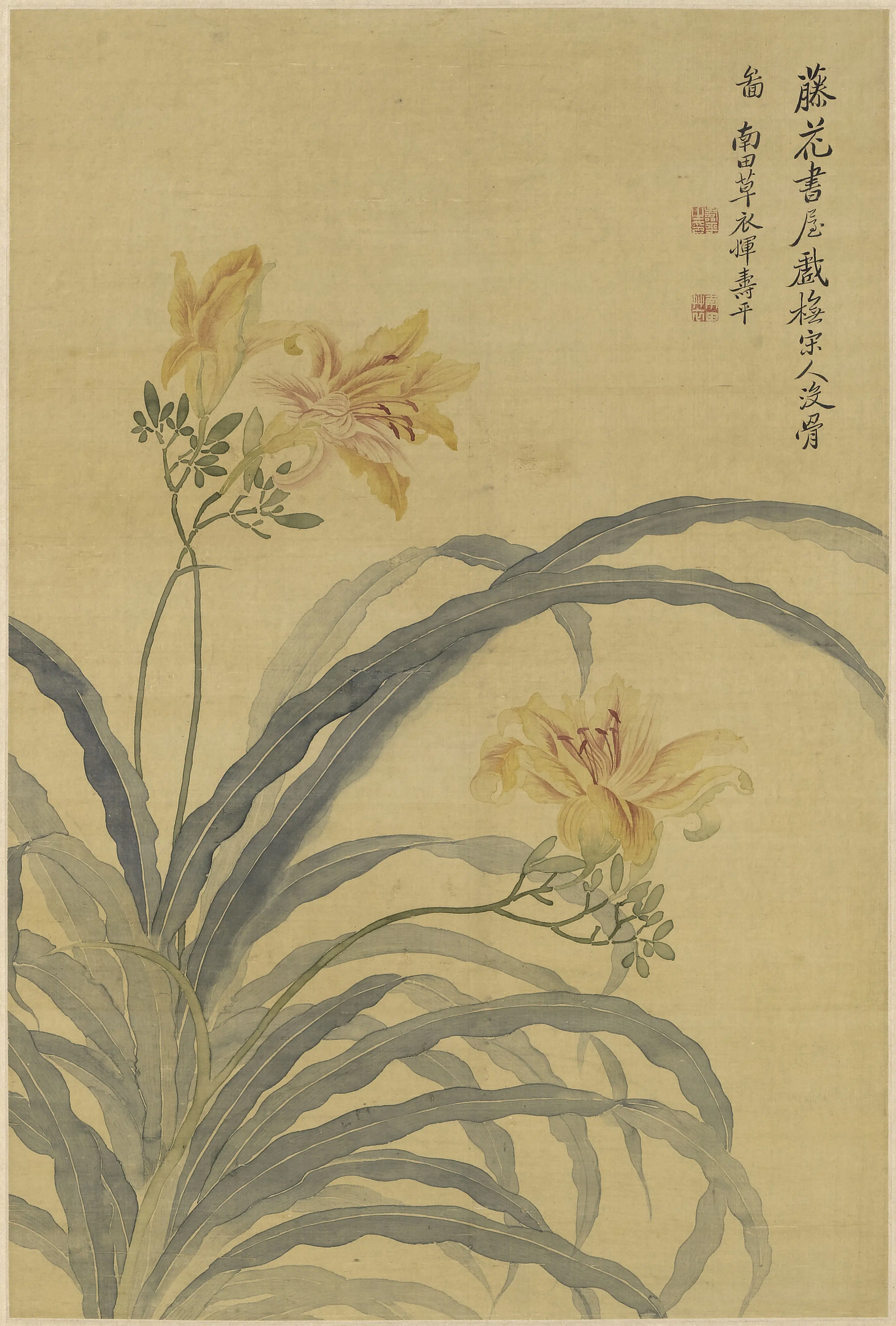 清代【恽寿平】《萱花图轴》