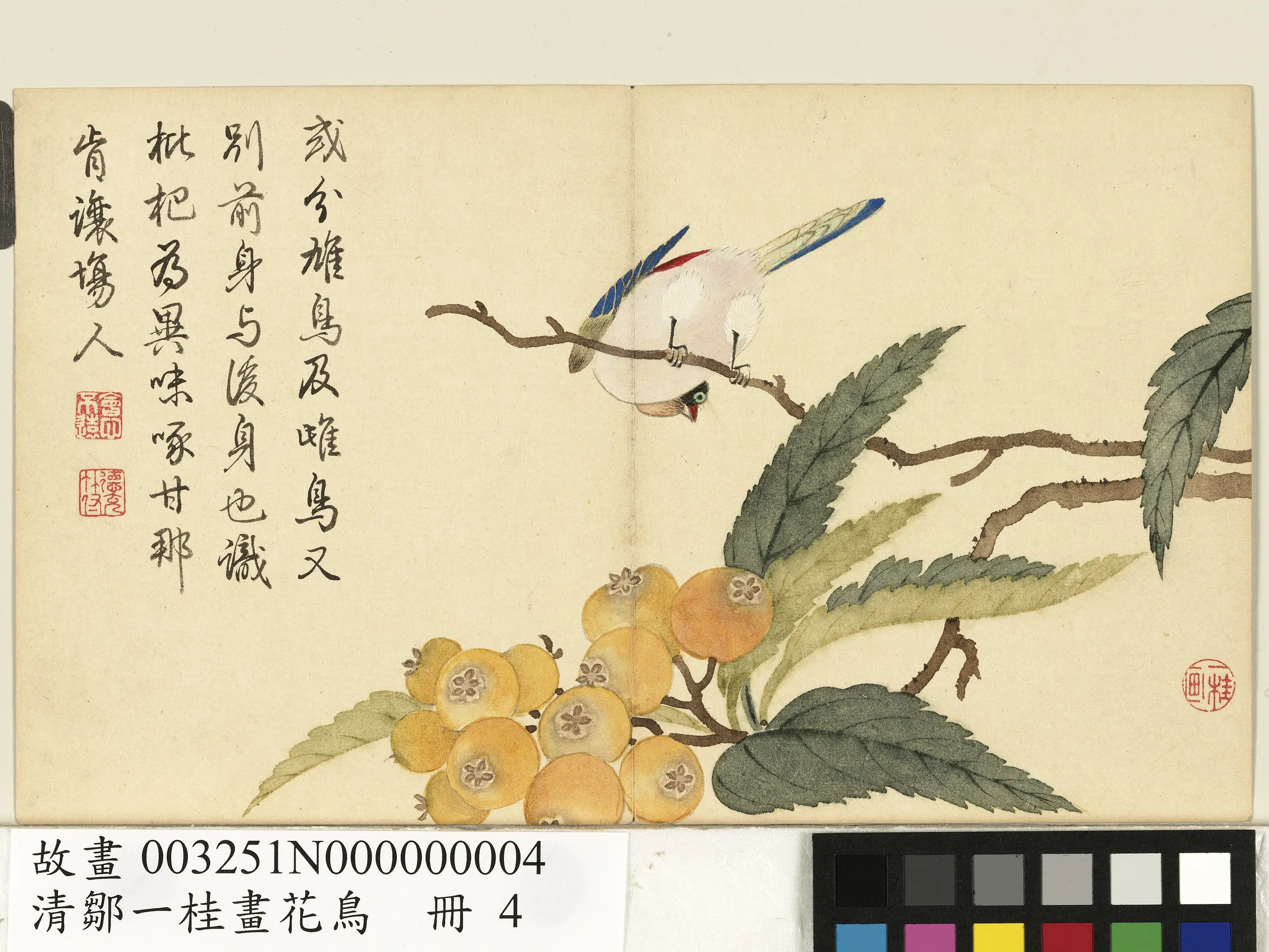 清代【邹一桂】《画花鸟册-枇杷翡翠》