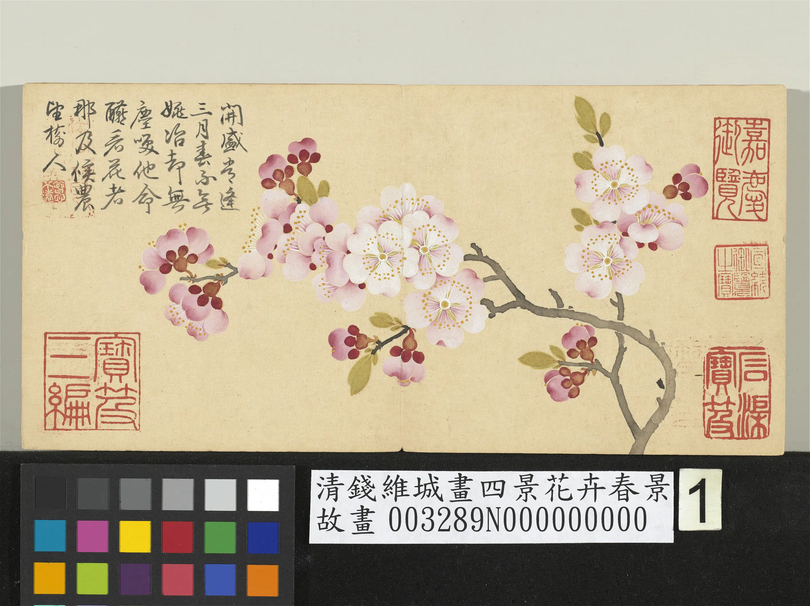 清代【钱维城】《画四景花卉春景册-杏花》
