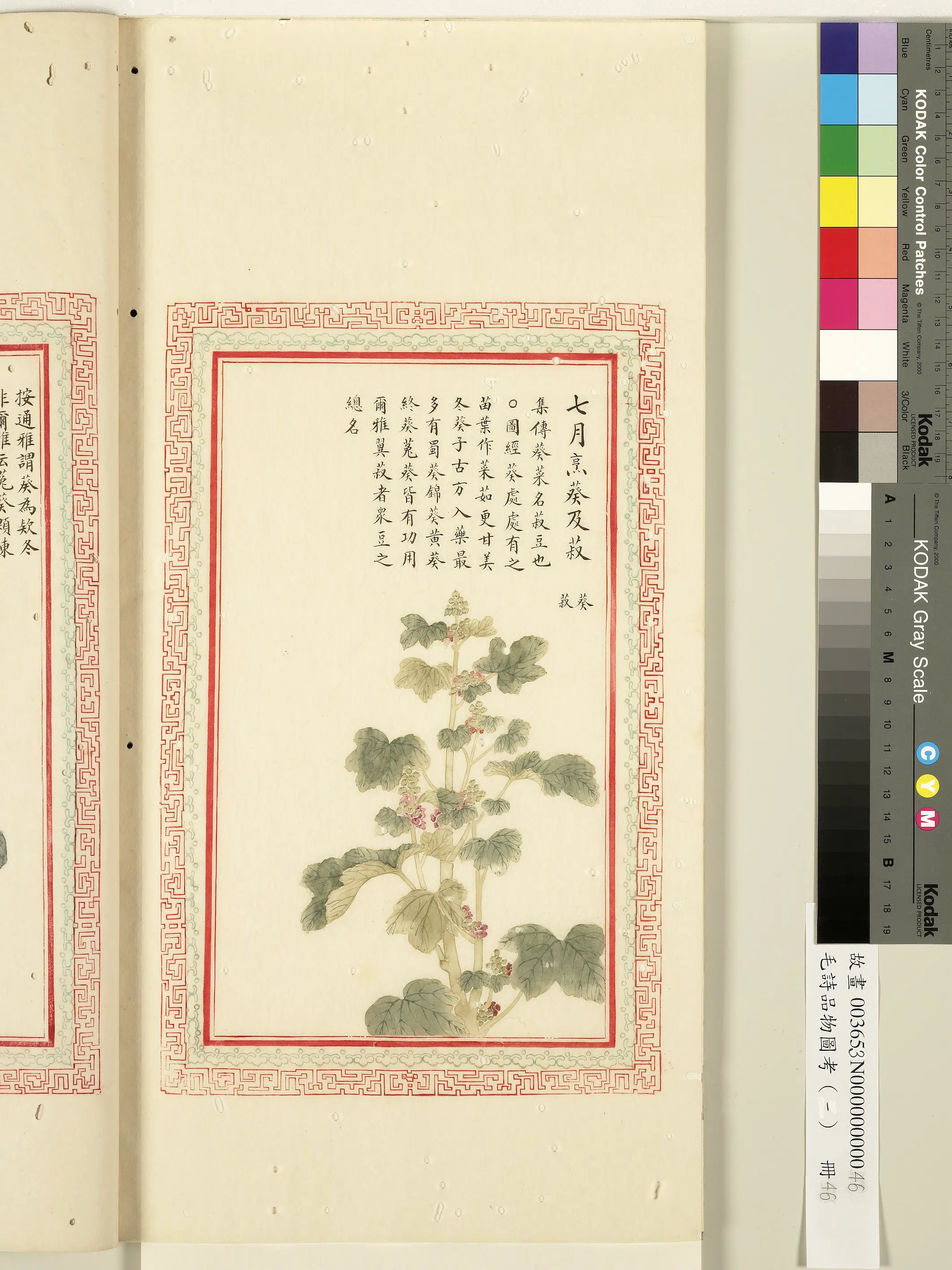 清代《毛诗品物图考(一)册-1》 第2张 清代《毛诗品物图考(一)册-1》 第2张