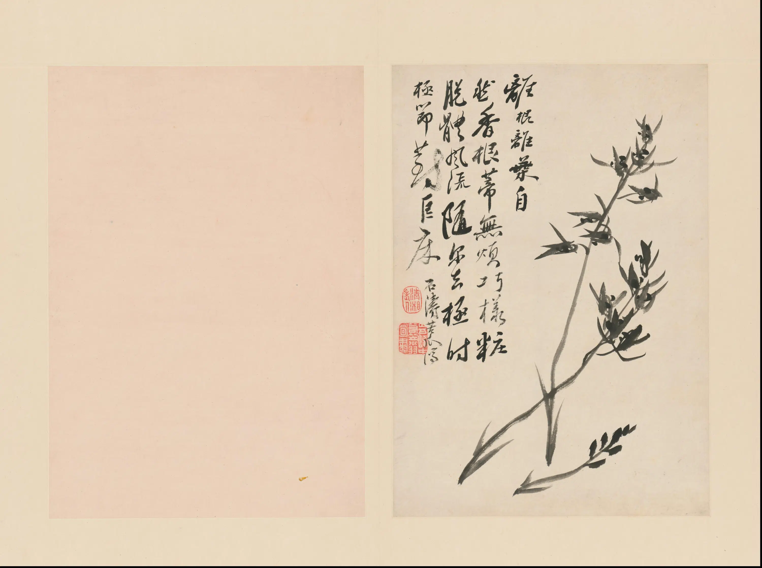 清代【石涛】《兰竹册(18开)》 第6张 清代【石涛】《兰竹册(18开)》 第6张