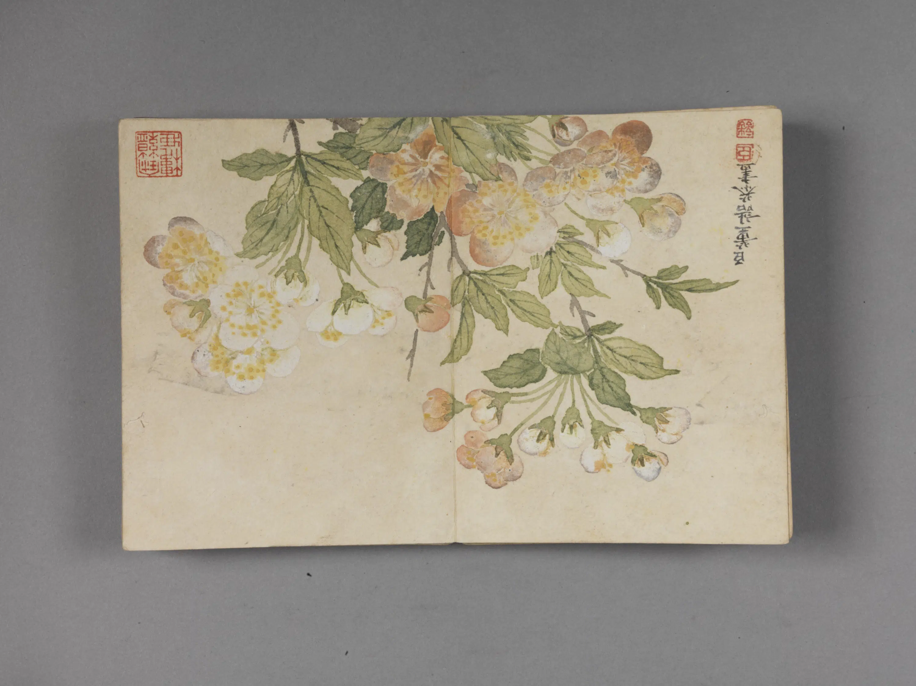 清代【董诰】《花卉图册（8开）》 第8张