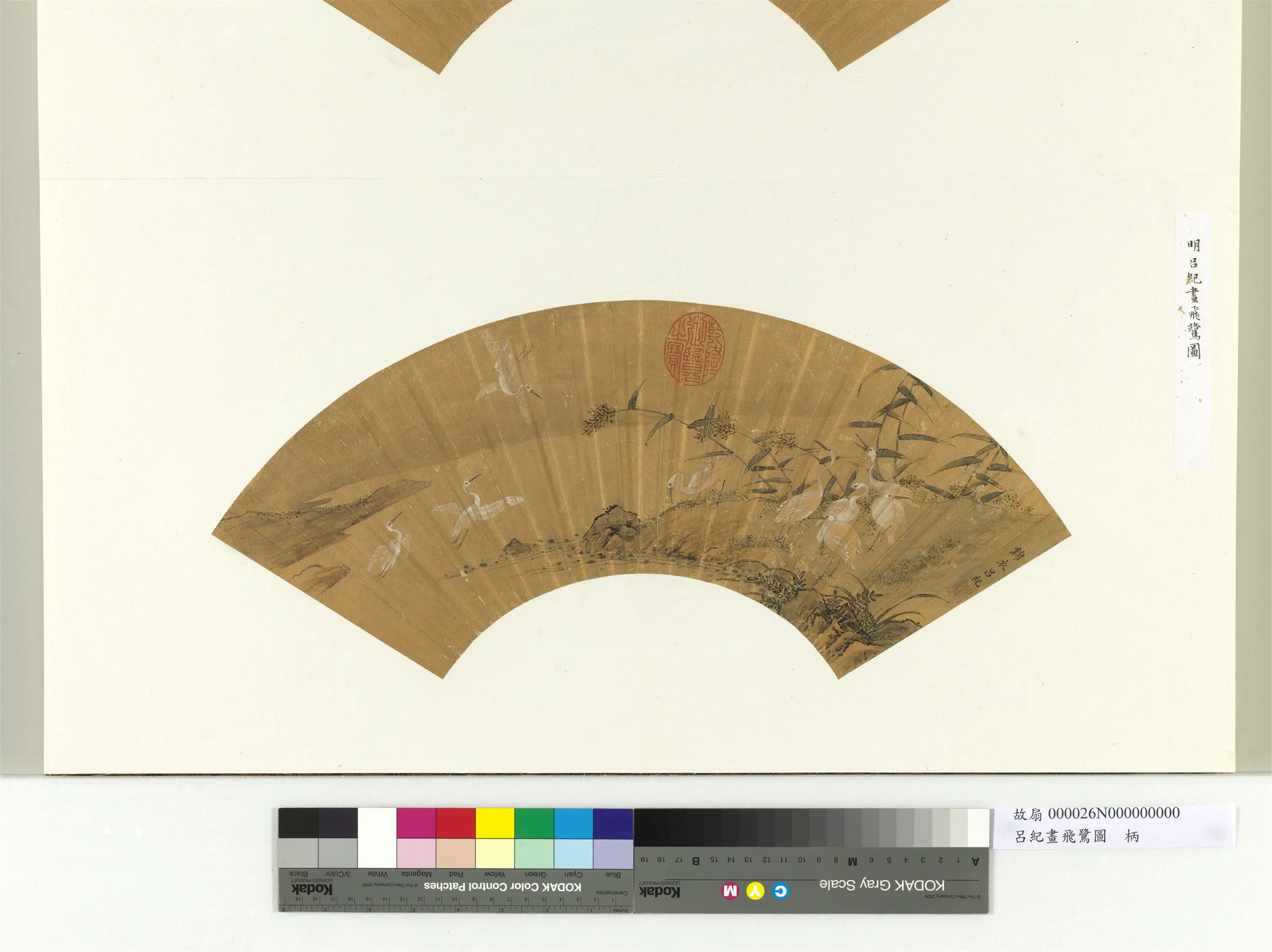 明朝【吕纪】《画飞鹭图册页》