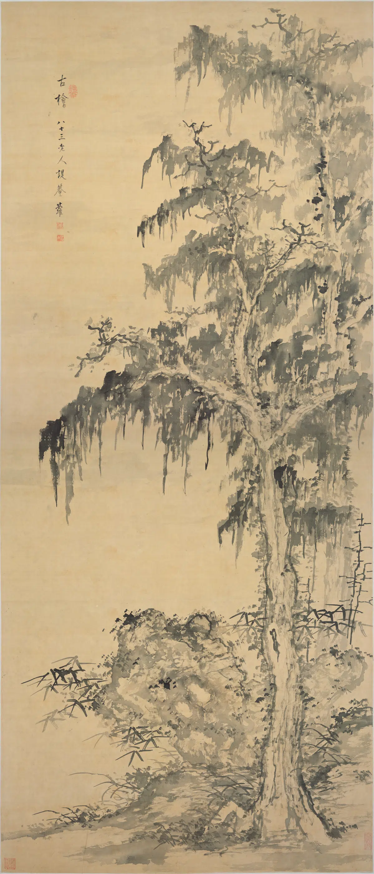 清代【程萝】《古桧图轴》