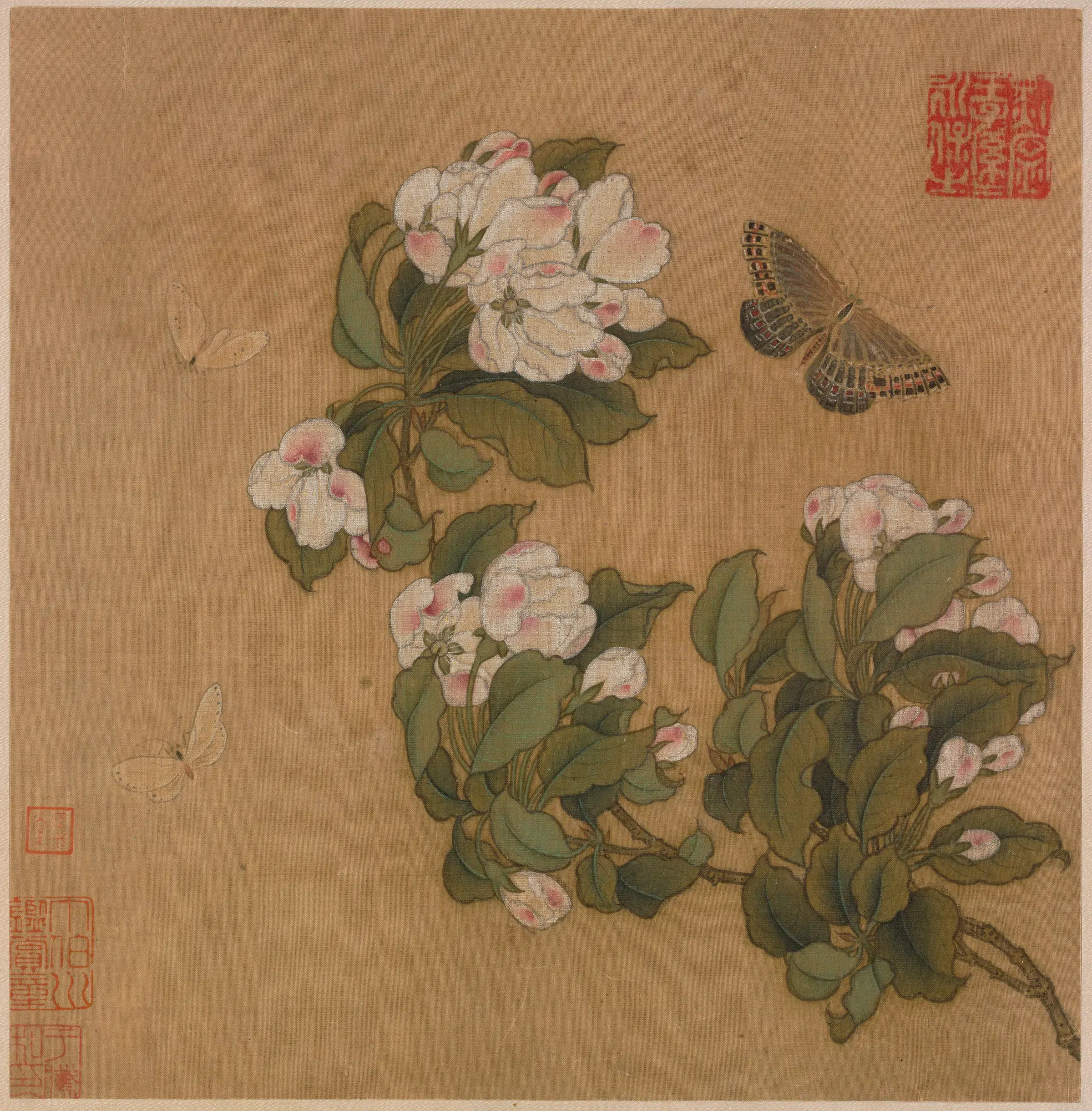 宋代【佚名】《海棠蛱蝶图页》