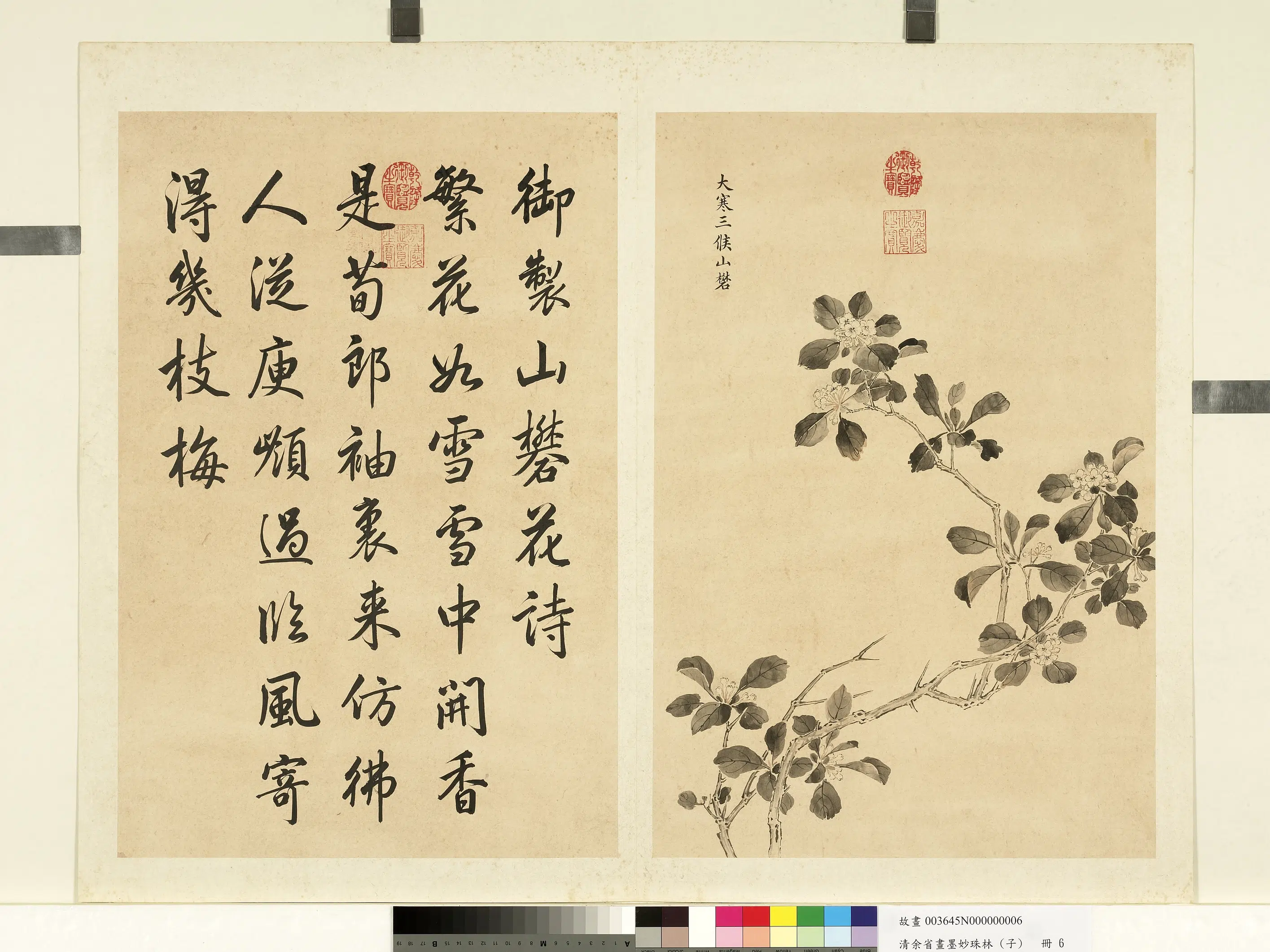 清代【余省】《画墨妙珠林（子）册-大寒三候山矾》