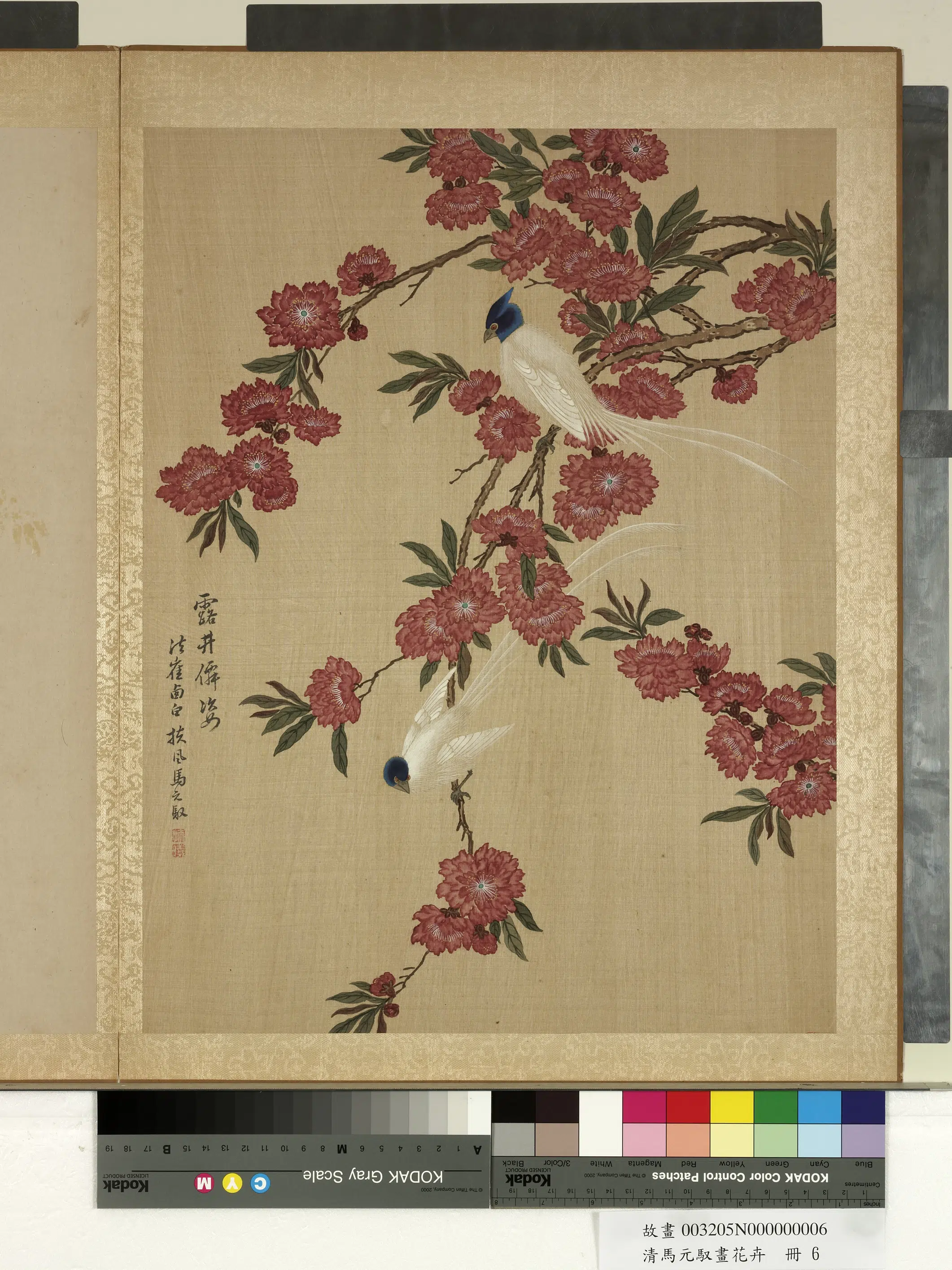 清朝【马元驭】《画花卉册-碧桃寿带》