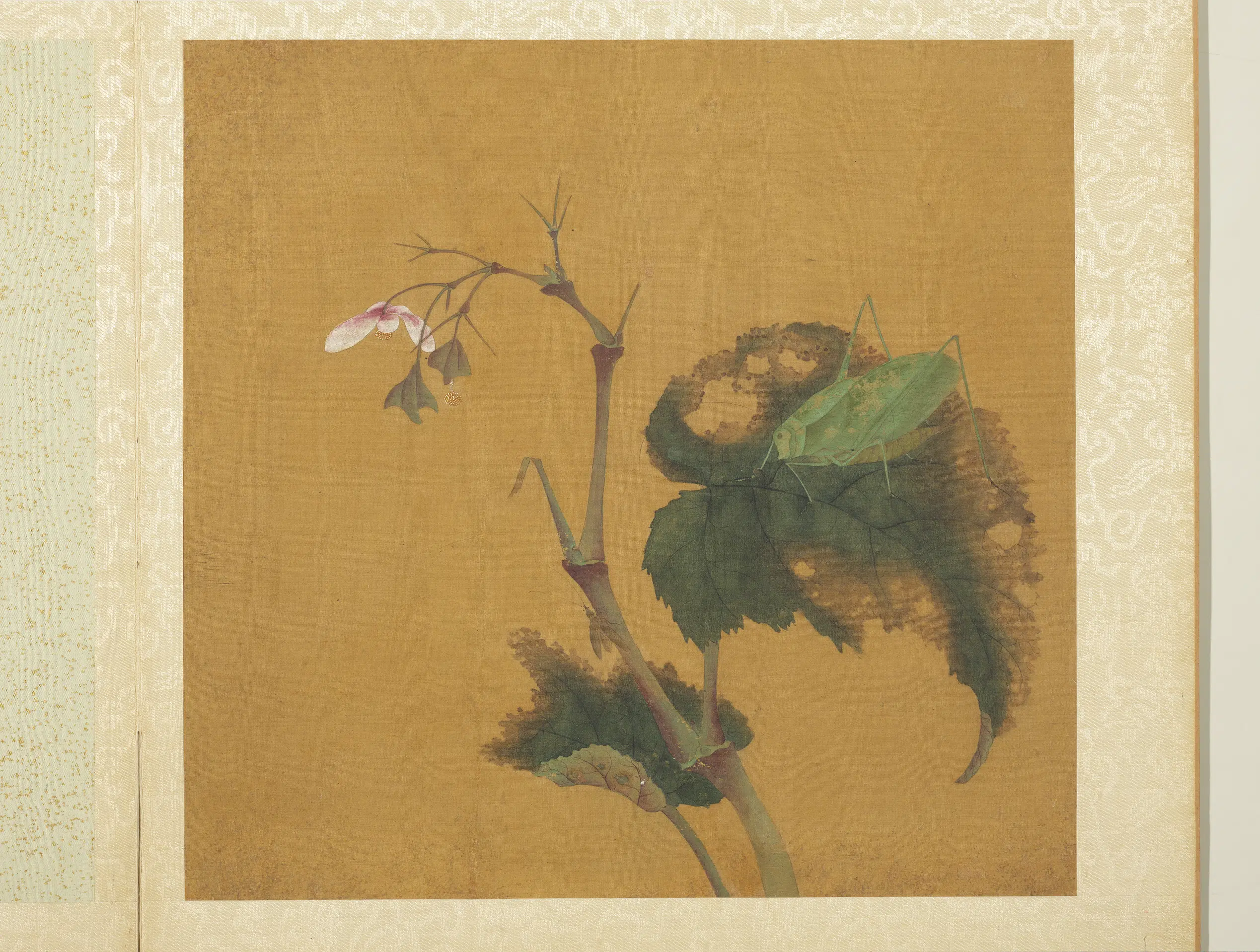 五代十国前后蜀【黄筌（荃）】《长春花鸟册》 第9张