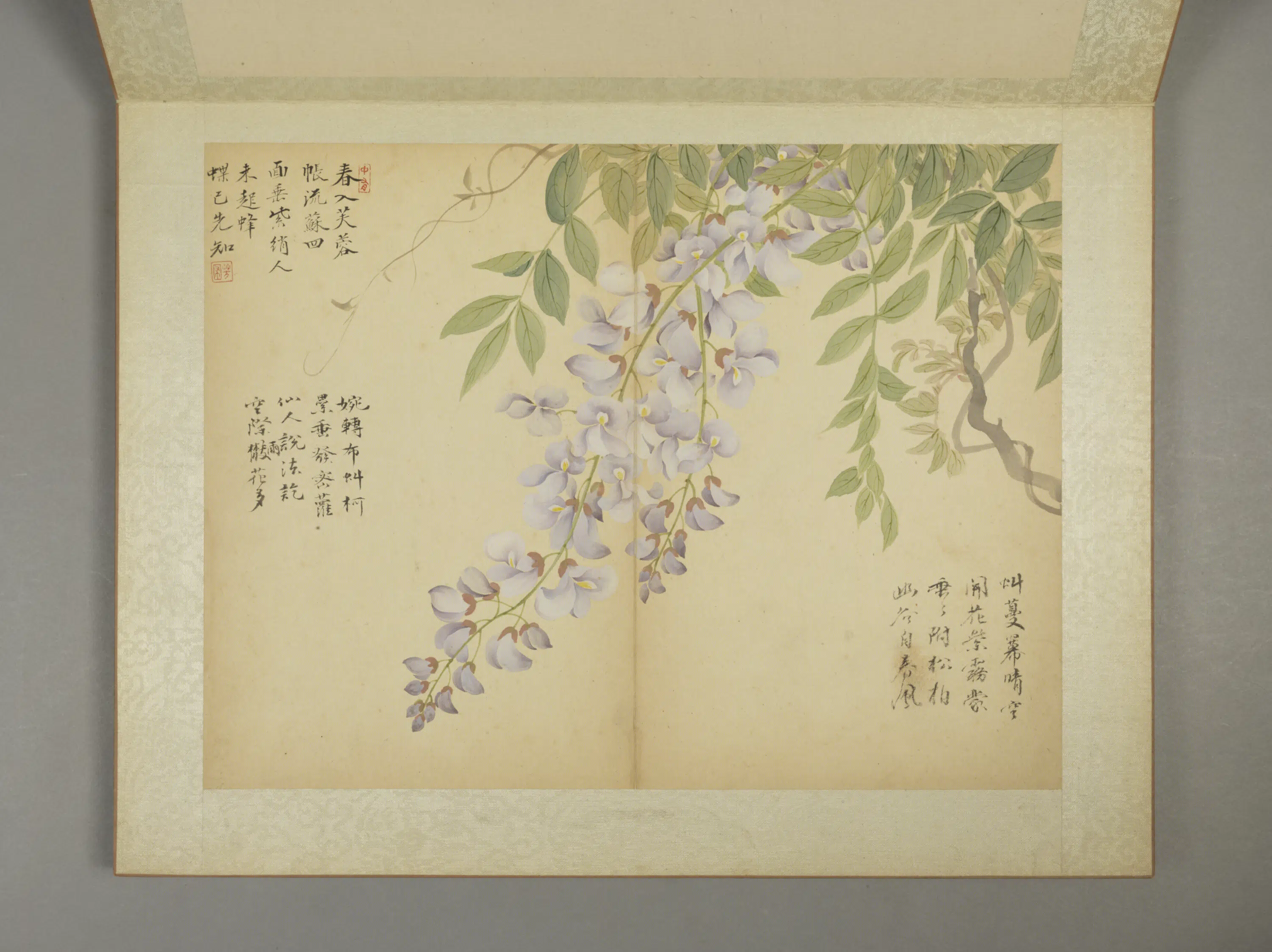 清代【邹一桂】《花卉图册（11开）》 第7张