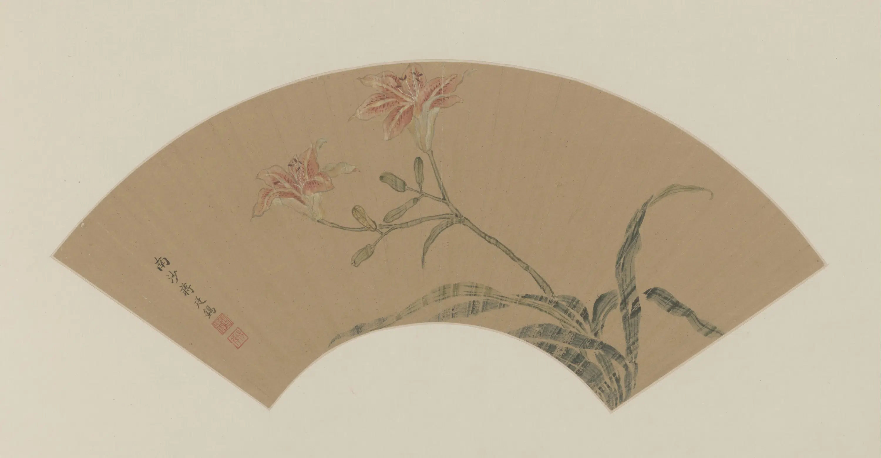 清代【蒋廷锡】《萱花图扇页》