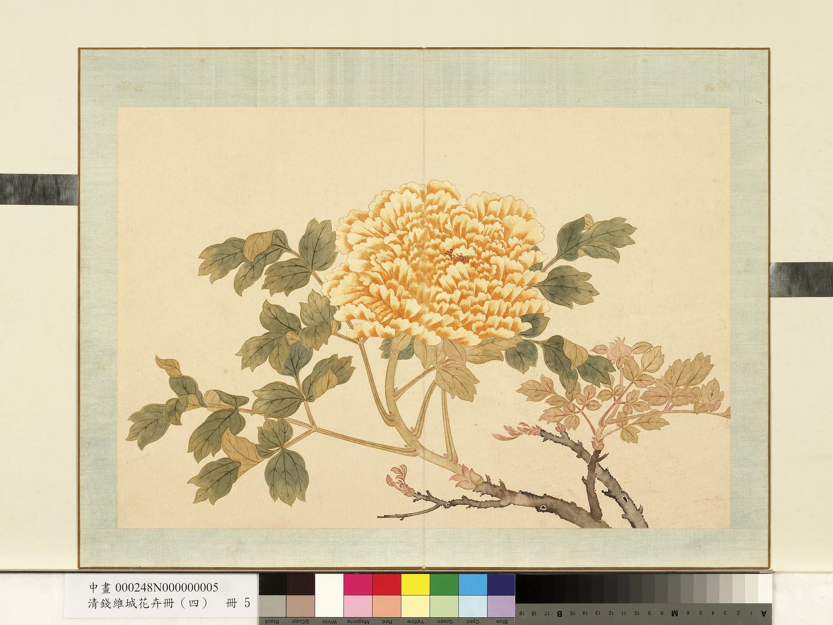 清代【钱维城】《花卉册（四）册-画牡丹之五》