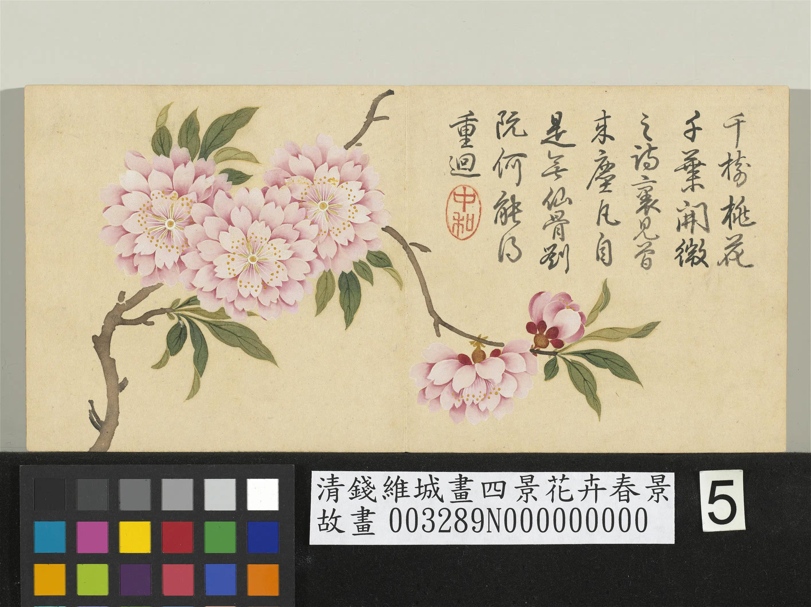 清代【钱维城】《画四景花卉春景册》