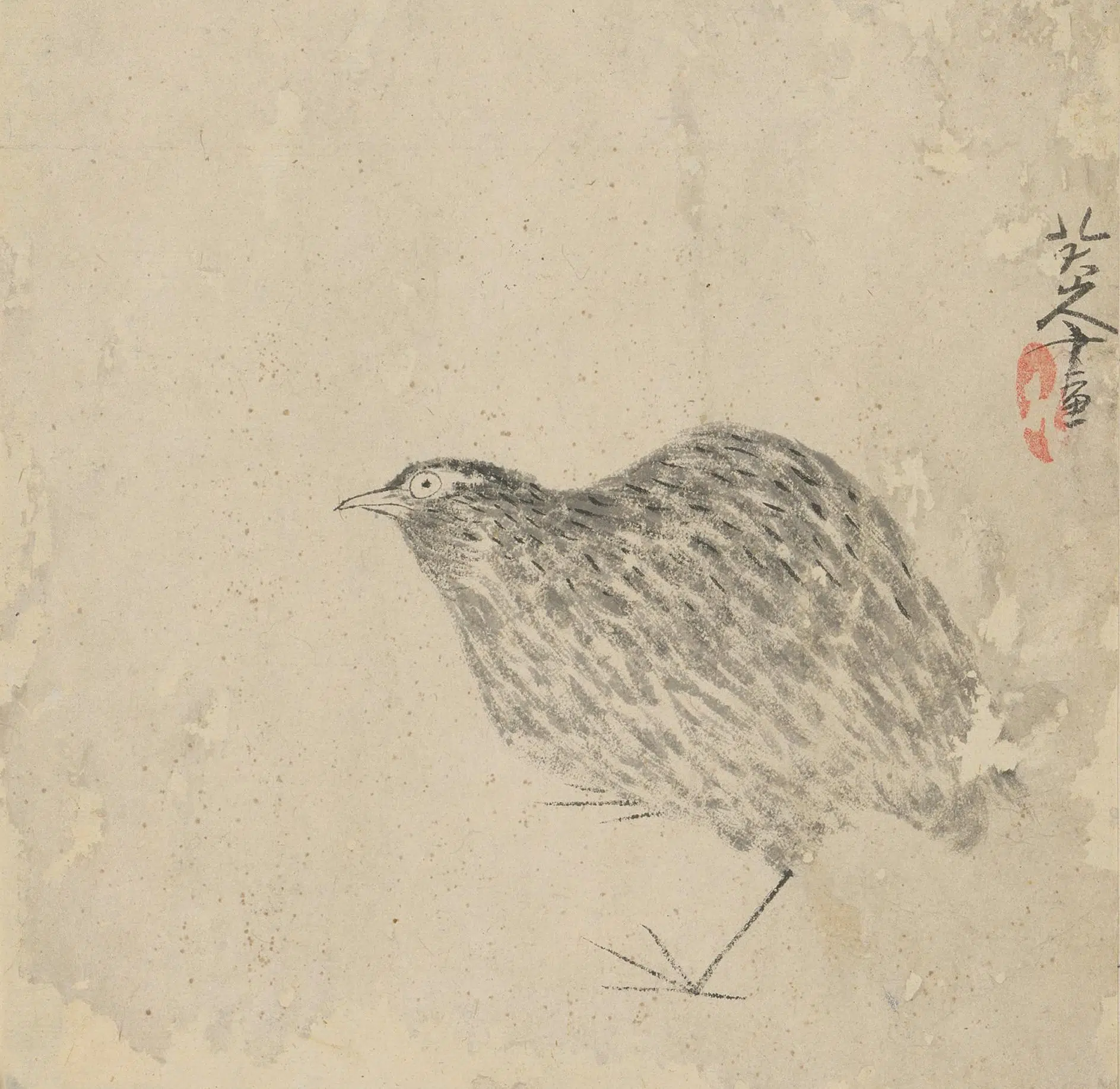 清代【朱耷】《石鸟页》 第1张 清代【朱耷】《石鸟页》 第1张