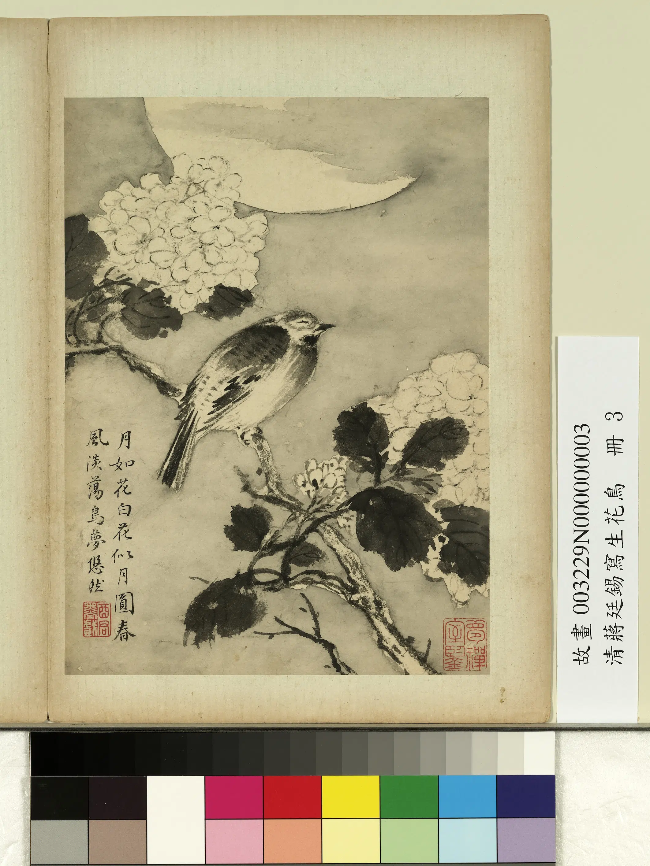 清代【蒋廷锡】《写生花鸟册》 第10张