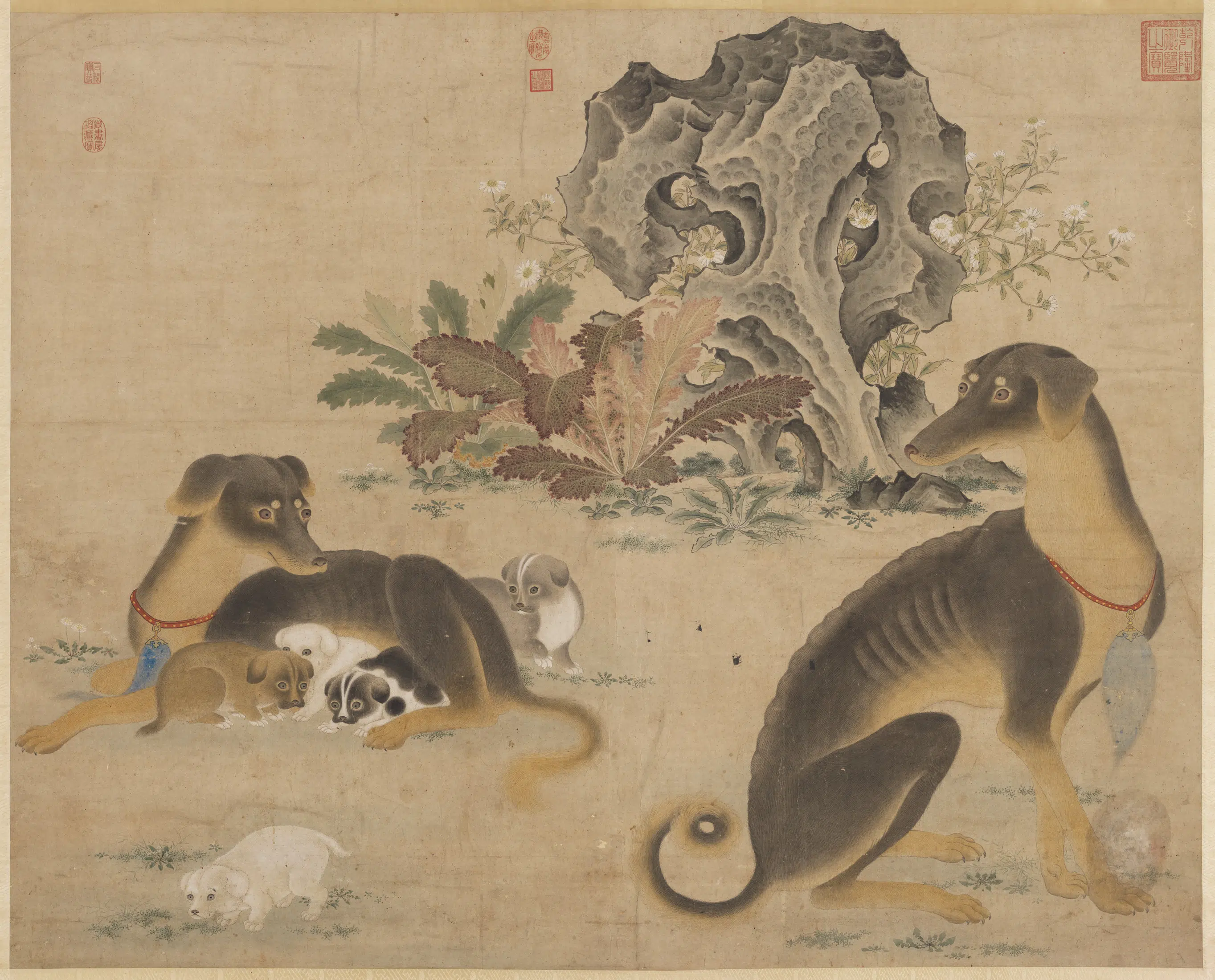 《无款花阴卧犬图轴》