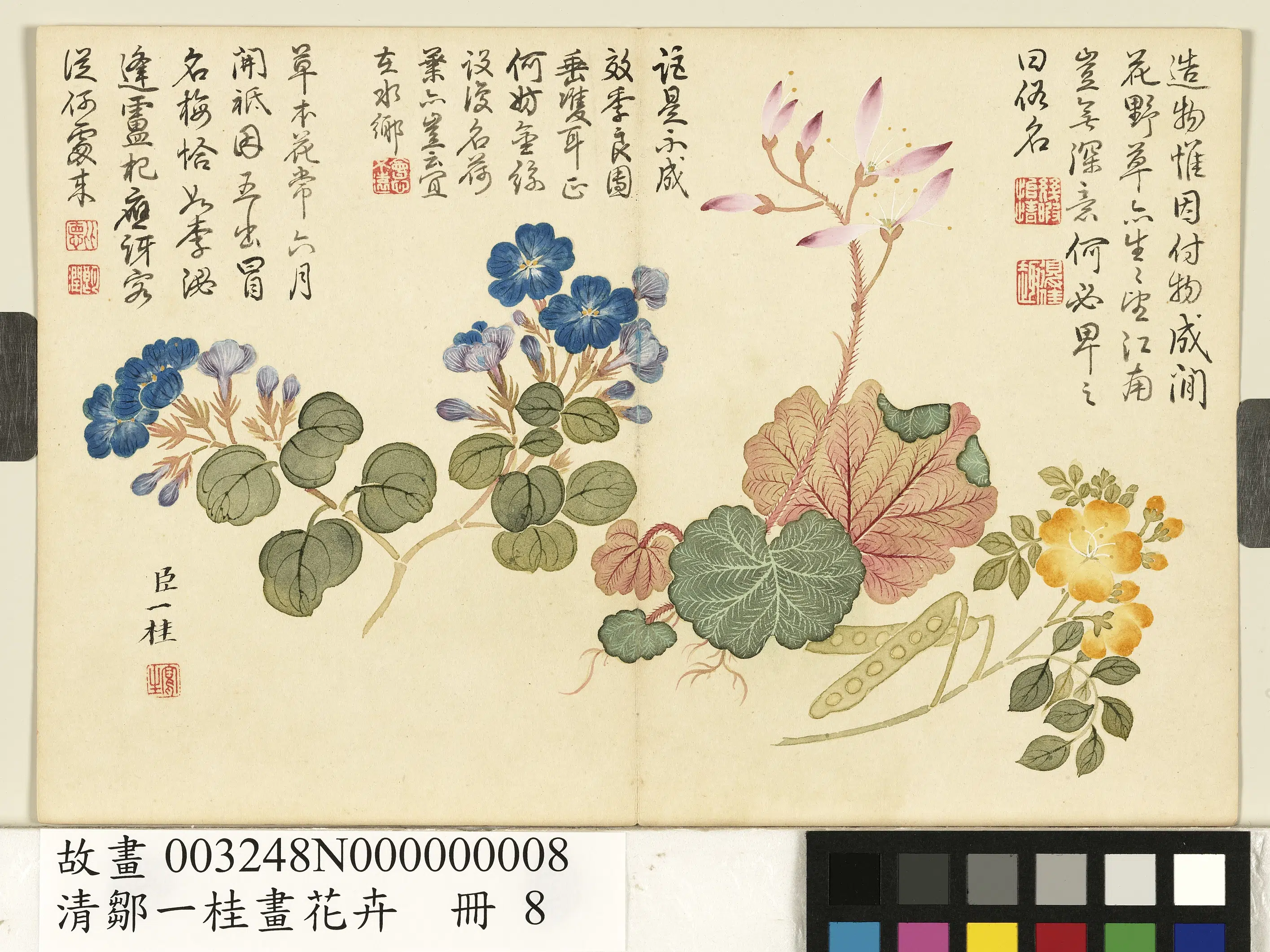 清代【邹一桂】《画花卉册》 第5张 清代【邹一桂】《画花卉册》 第5张