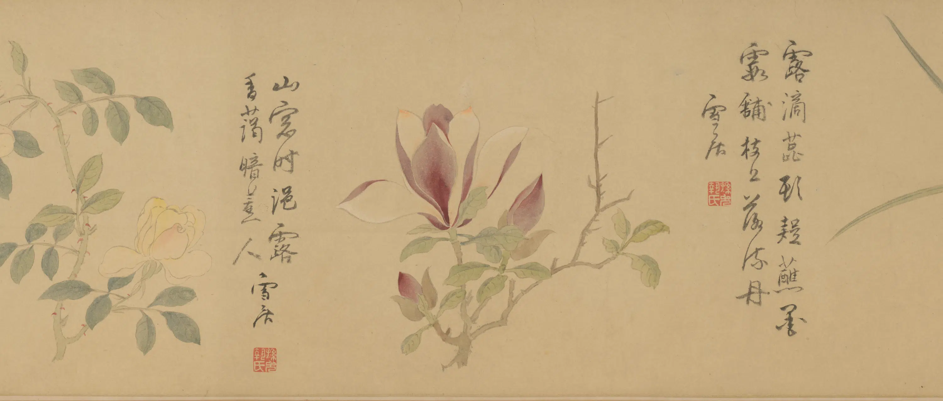 明朝【孙克弘】《百花图卷》 第18张