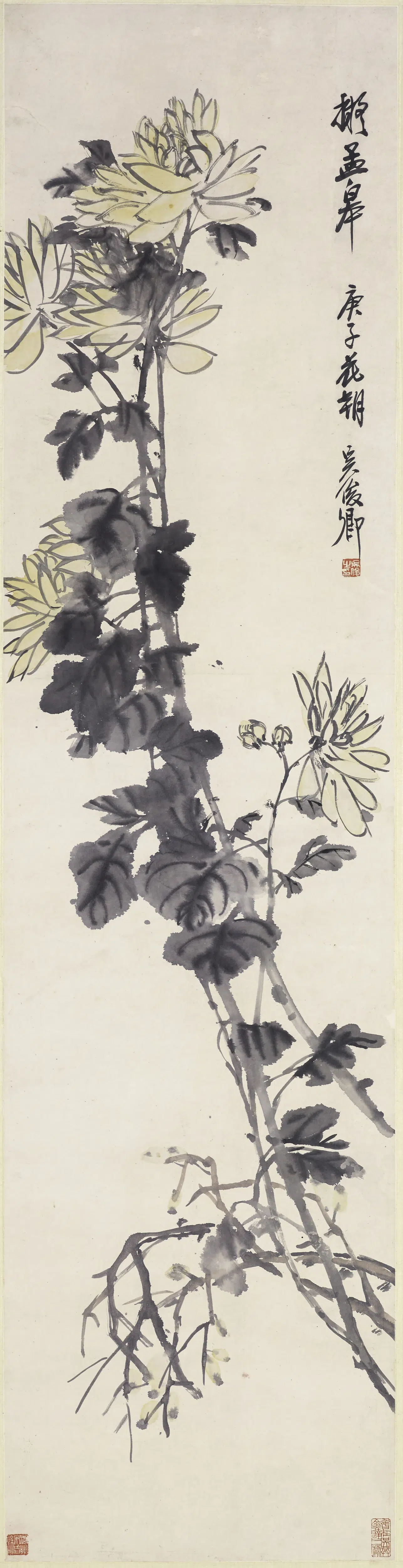 清代【吴昌硕】《菊花图轴-2》