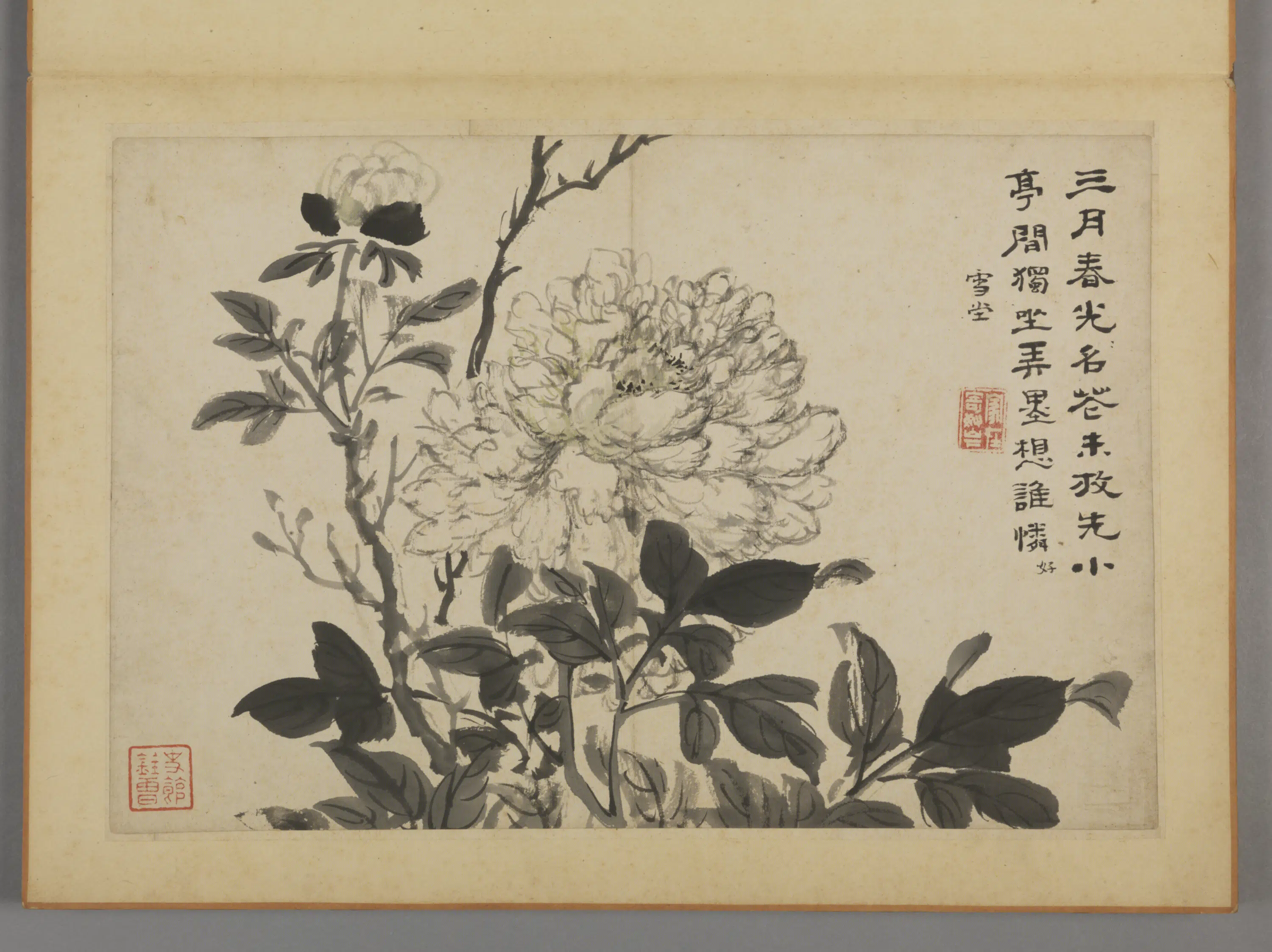 清代【蔡嘉】《花卉图册（12开）》 第5张