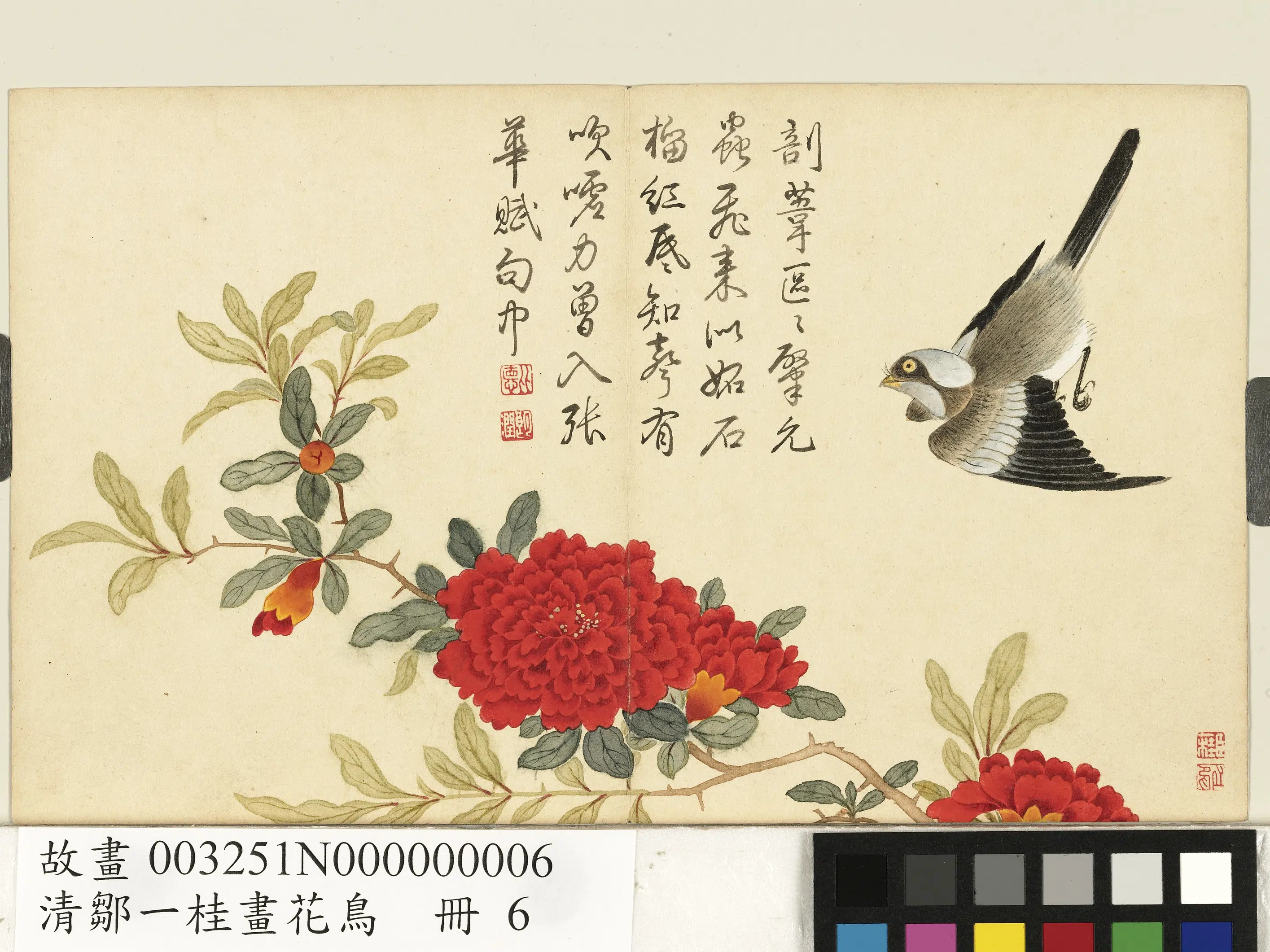 清代【邹一桂】《画花鸟册》 第4张 清代【邹一桂】《画花鸟册》 第4张