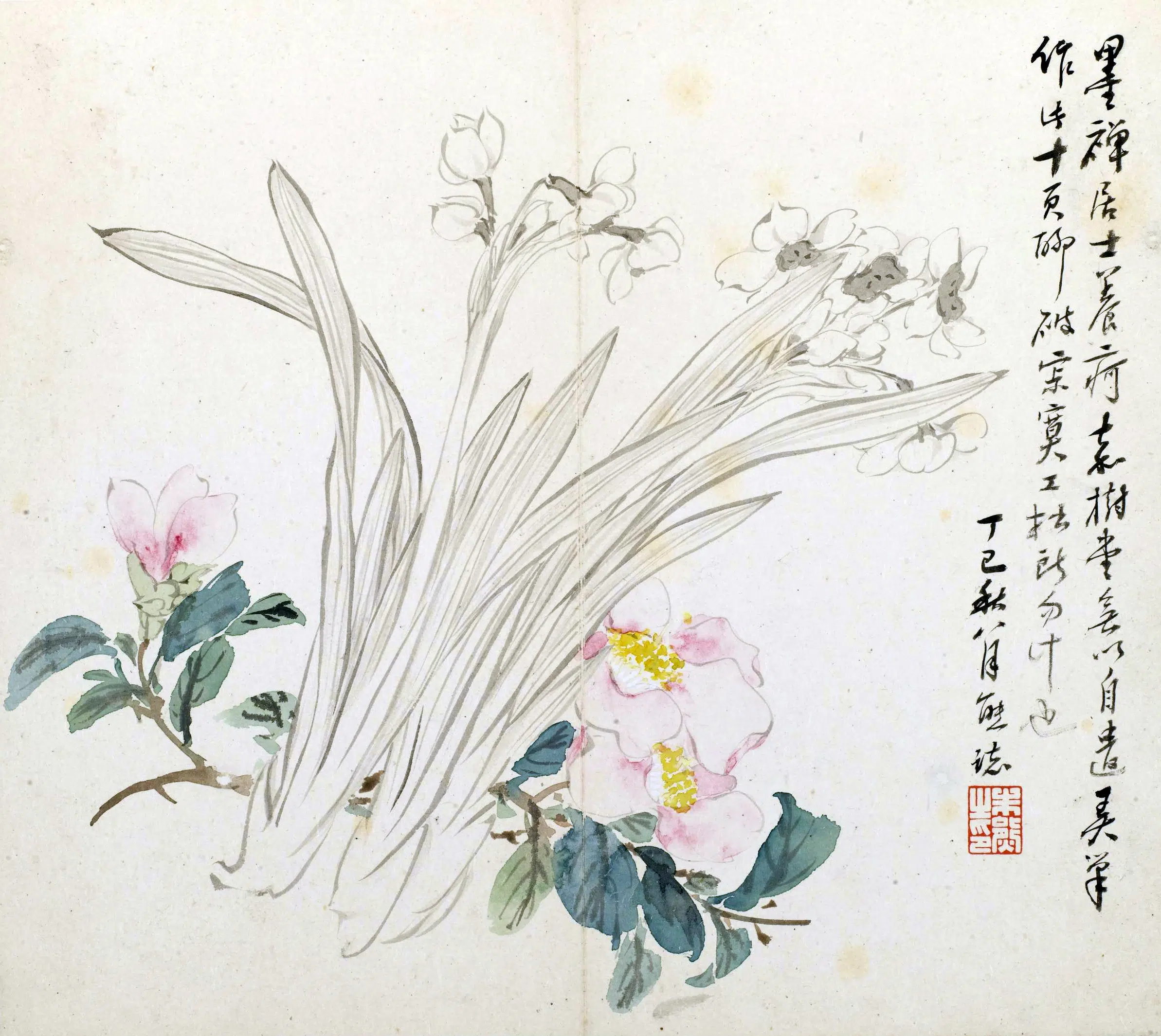 清代【朱熊】《花卉册》