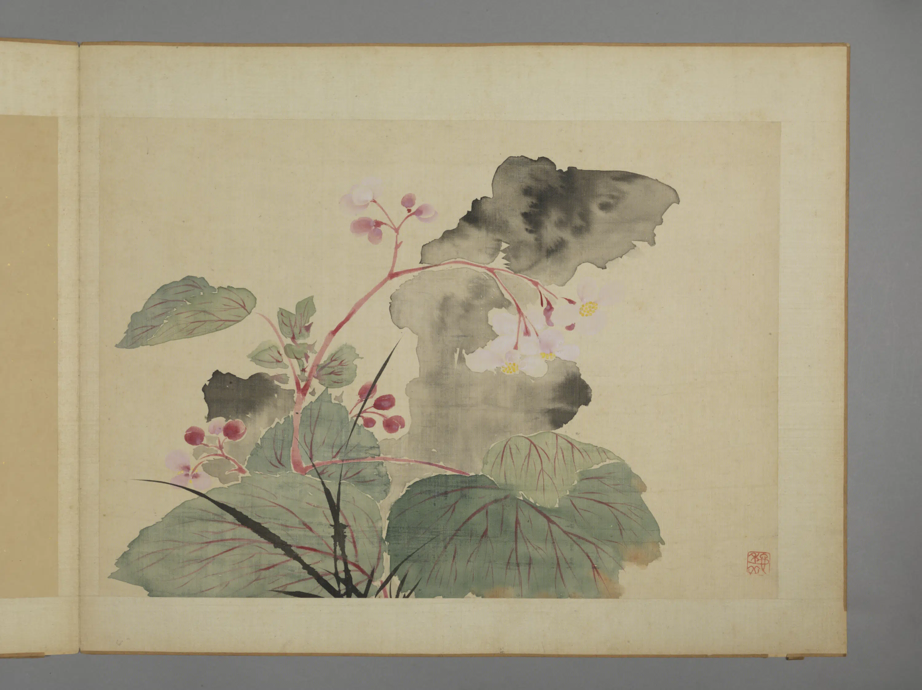 清代【华喦】《花卉图册（11开）》 第7张