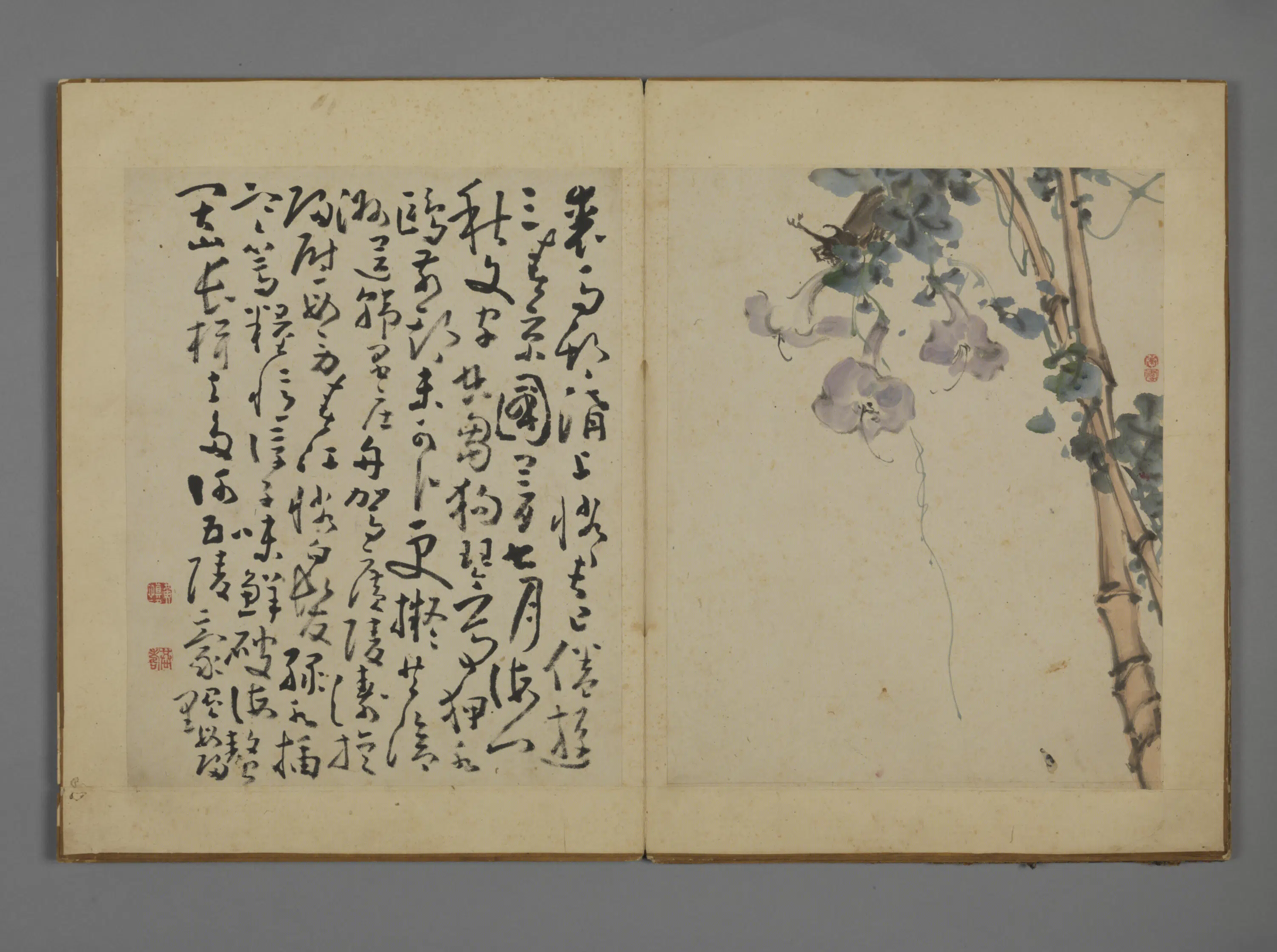 清代【黄慎】《花卉图册》 第4张