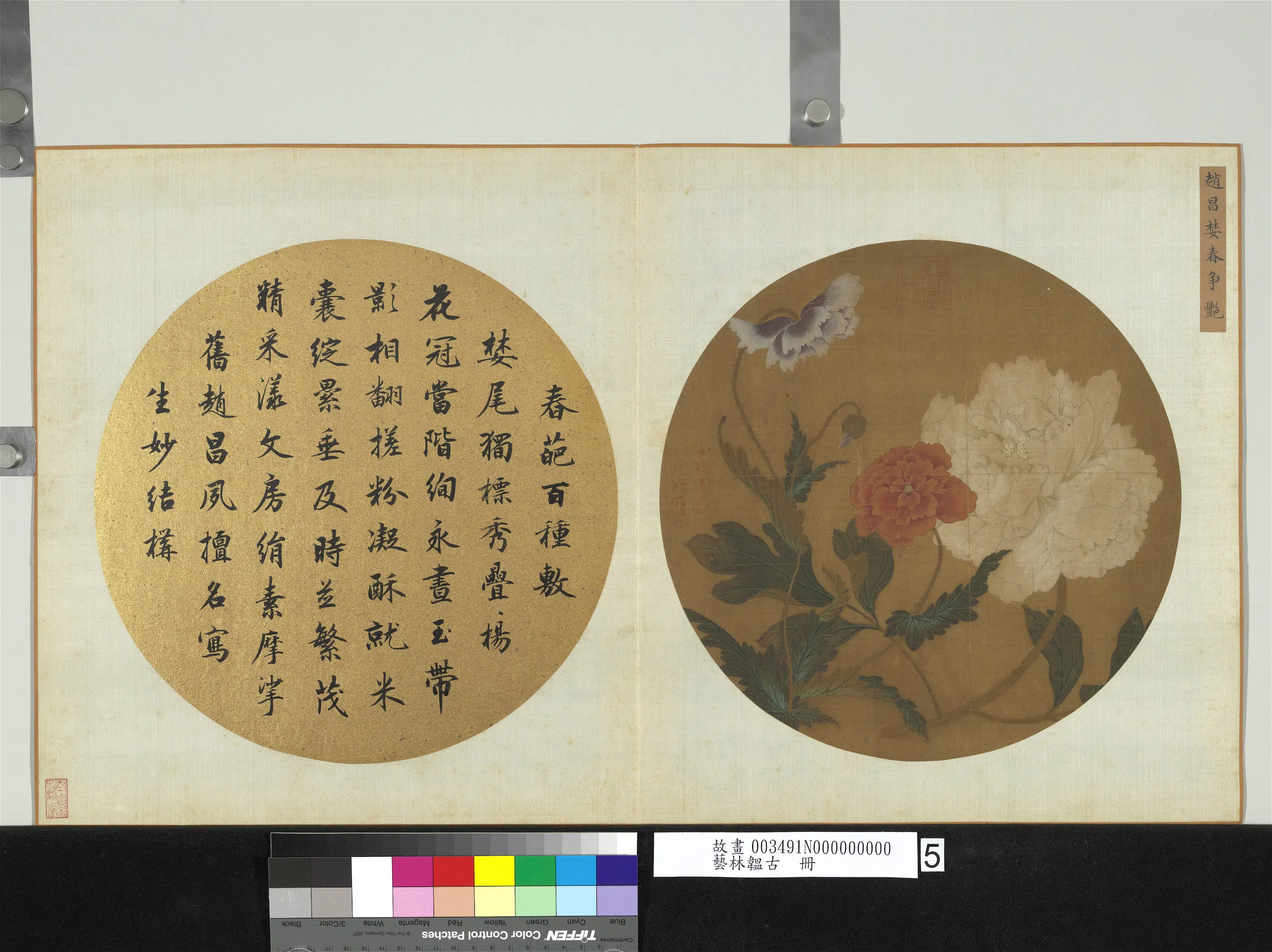 北宋【赵昌】《婪春争艳图-艺林韫古册》