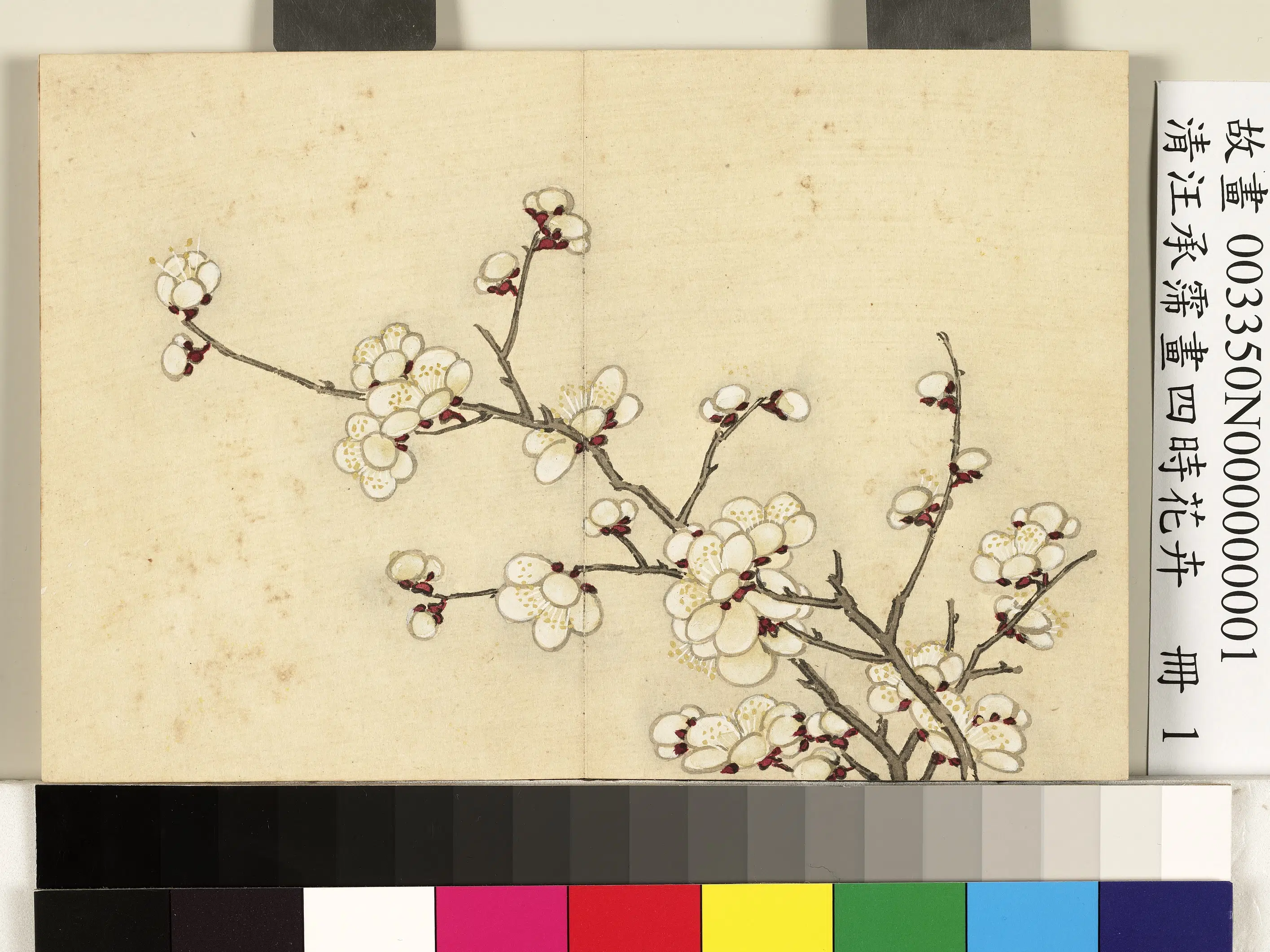 清代【汪承霈】《画四时花卉册》 第3张