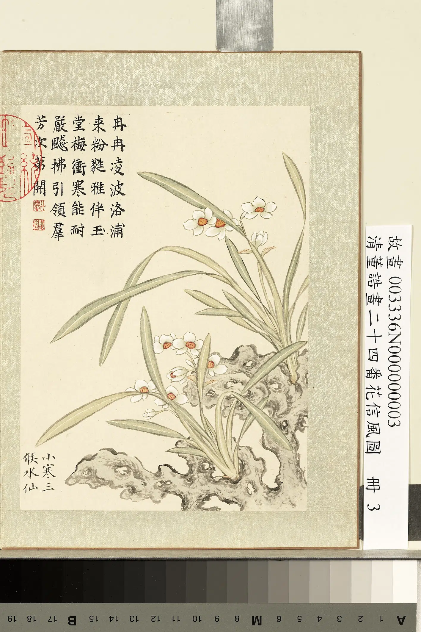 清代【董诰】《画二十四番花信风图册-小寒三候水仙》