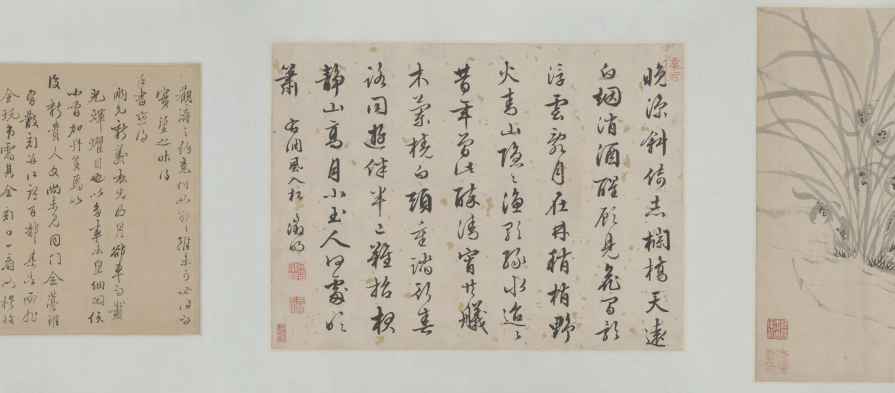 明朝【文徵明】《强存仁兰石二段图卷》 第2张 明朝【文徵明】《强存仁兰石二段图卷》 第2张