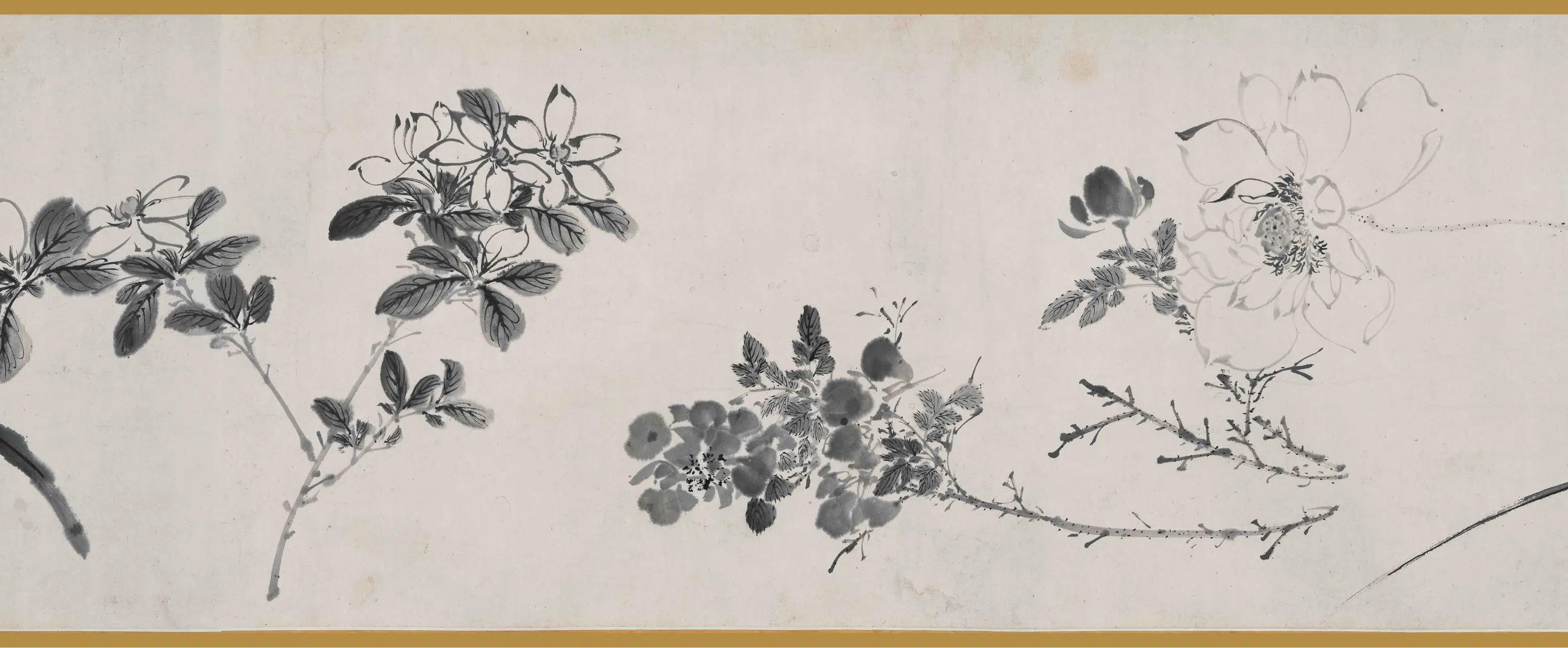 明朝【陈淳（道复）】《墨花图卷》 第5张