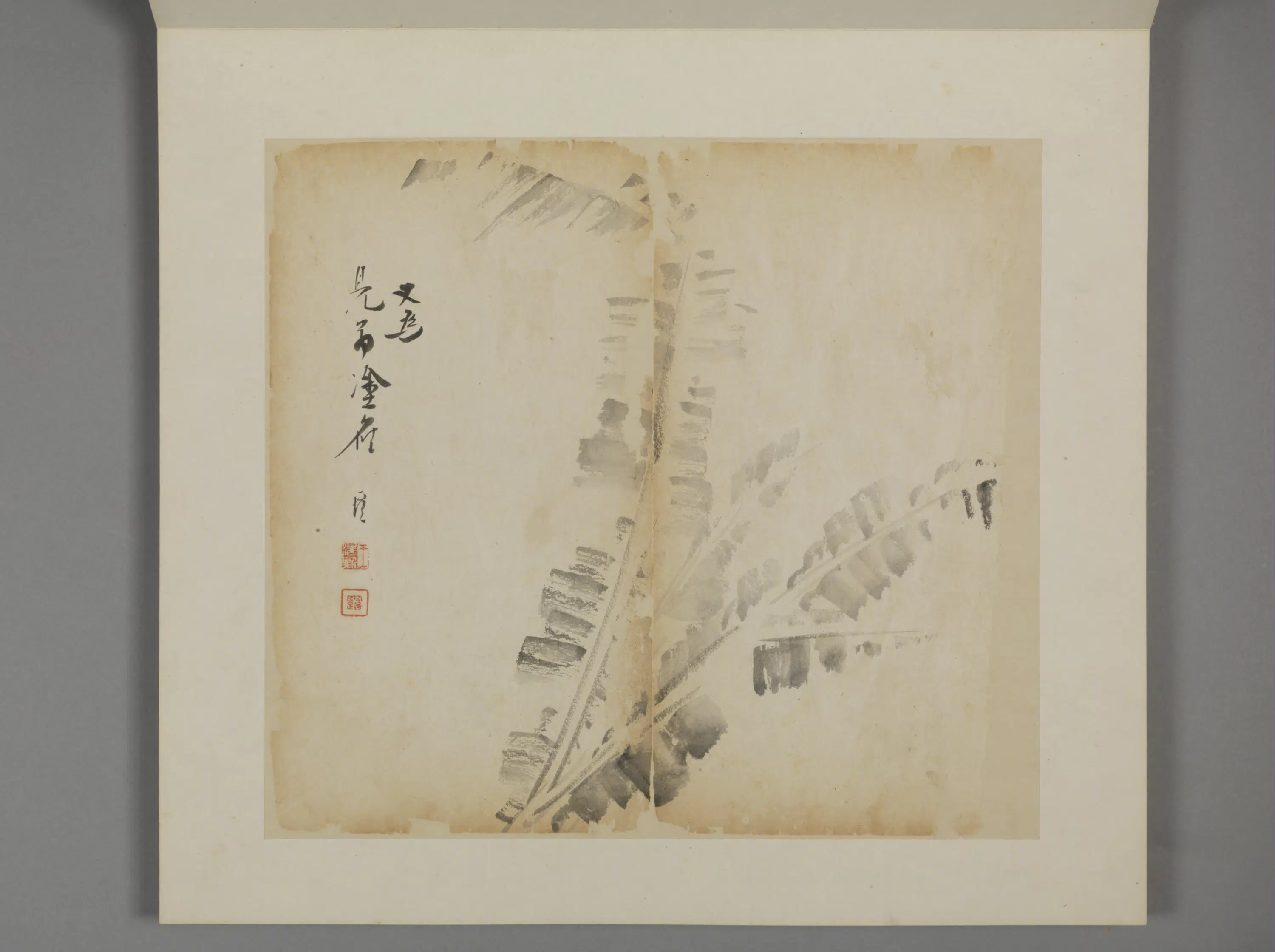 清代【王露】《花卉册》 第2张 清代【王露】《花卉册》 第2张