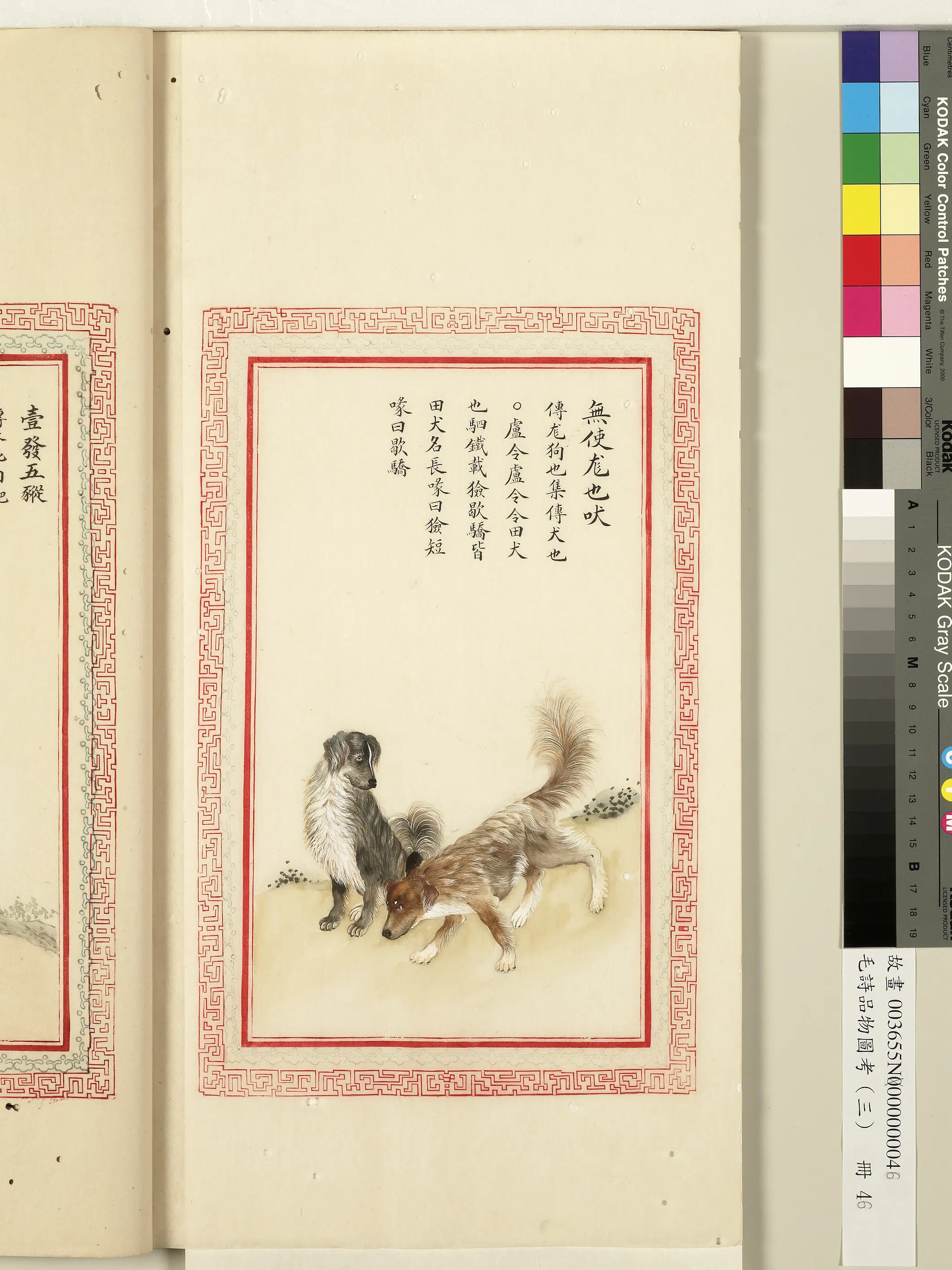清代《毛诗品物图考(三)册-1》 第21张 清代《毛诗品物图考(三)册-1》 第21张