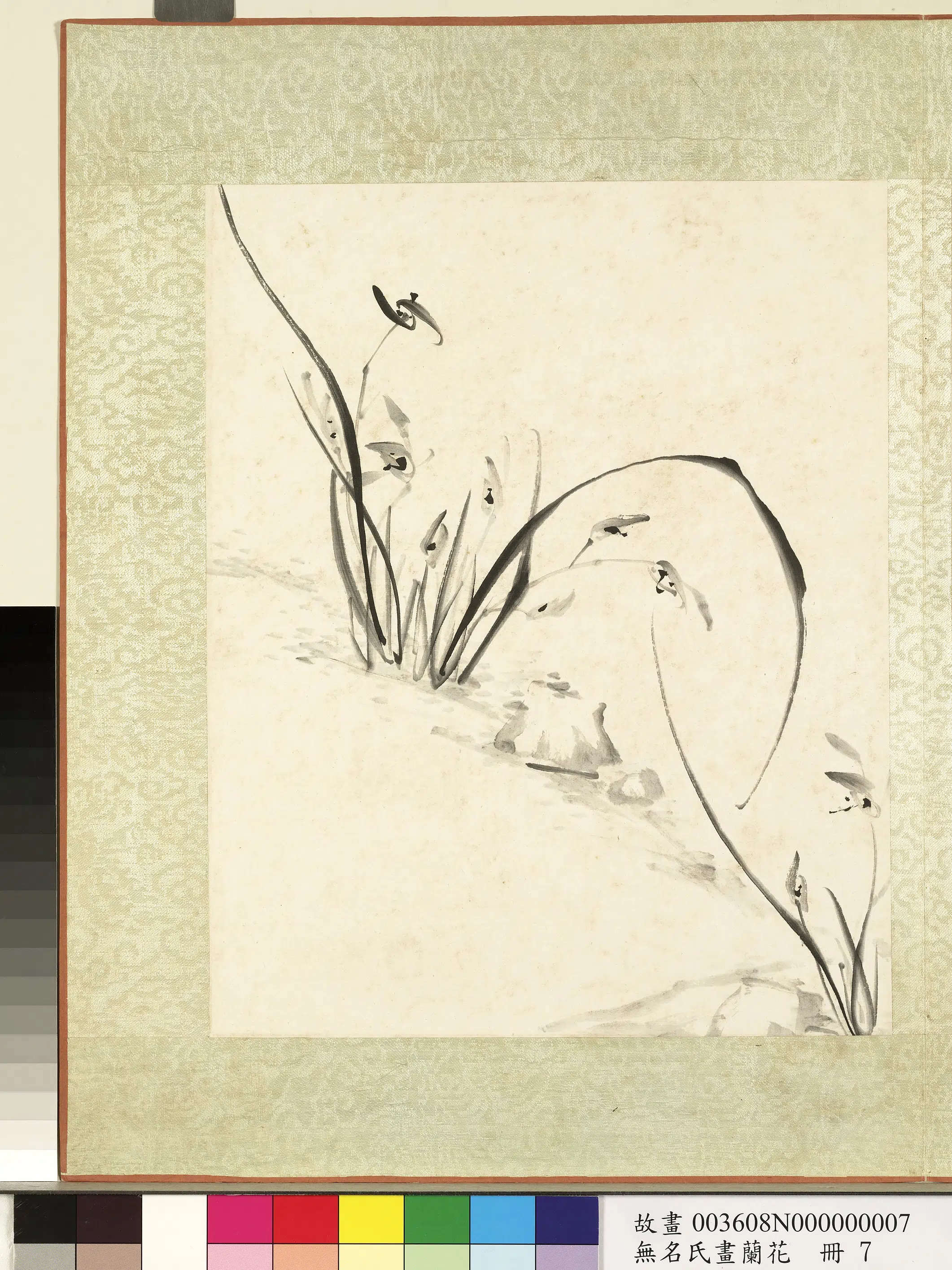 《无名氏画兰花册-兰花（十四）》