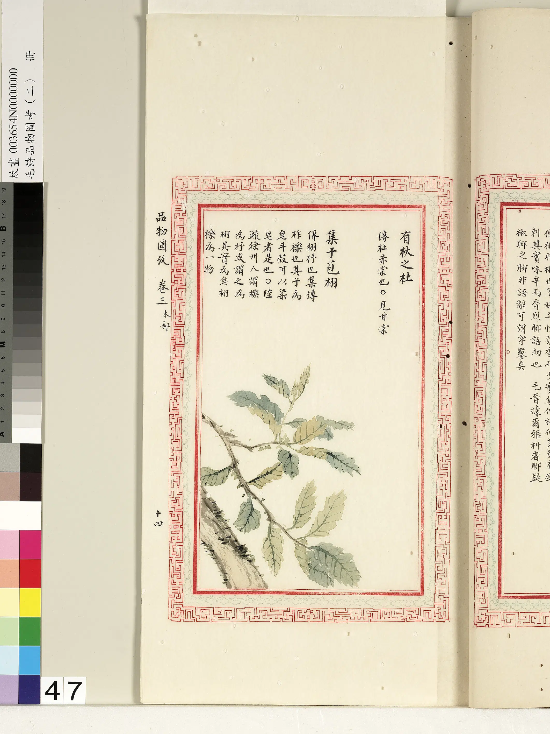 清代《毛诗品物图考(二)册-1》 第25张 清代《毛诗品物图考(二)册-1》 第25张