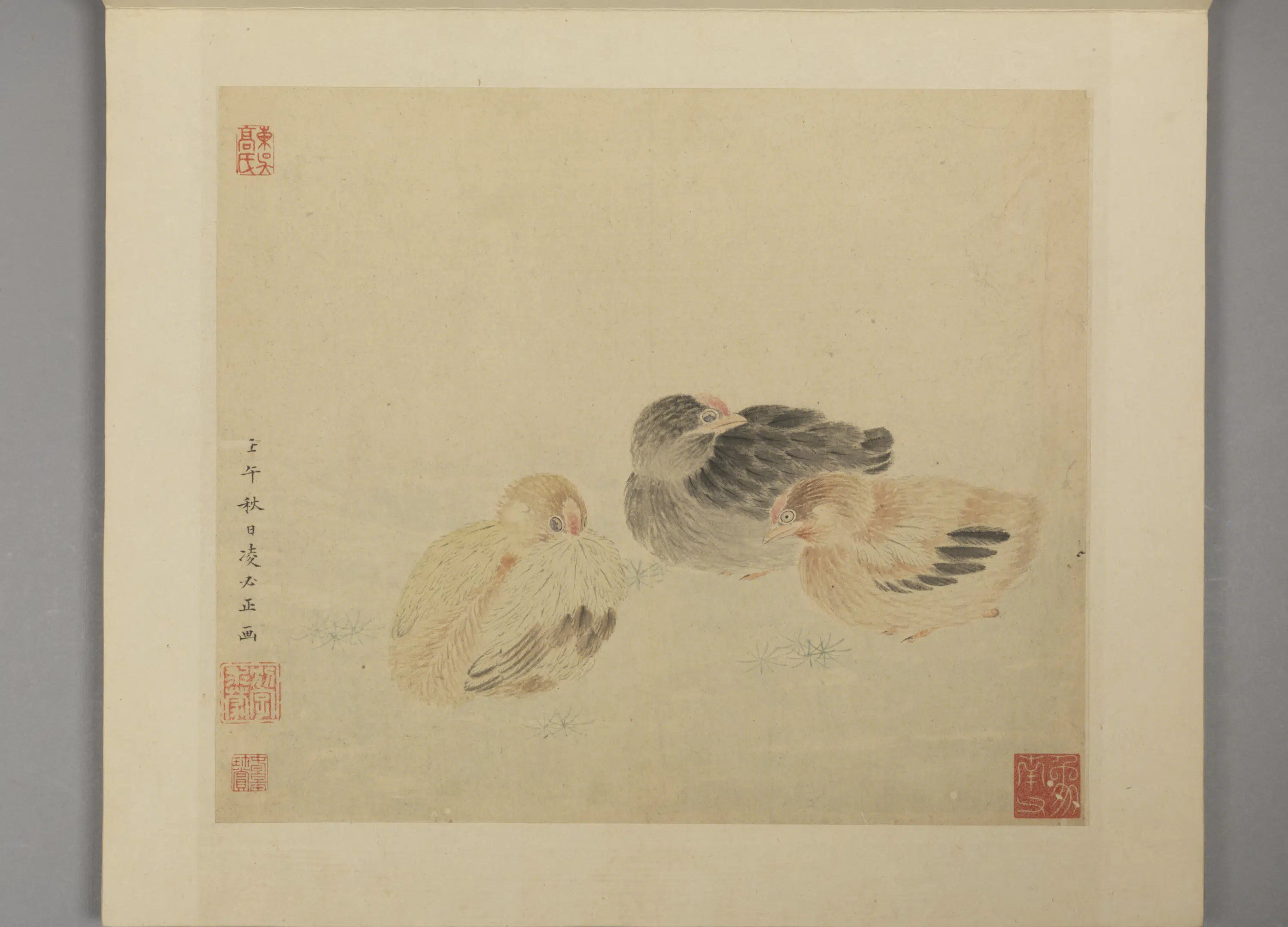 明朝【凌必正】《花鸟册》 第9张