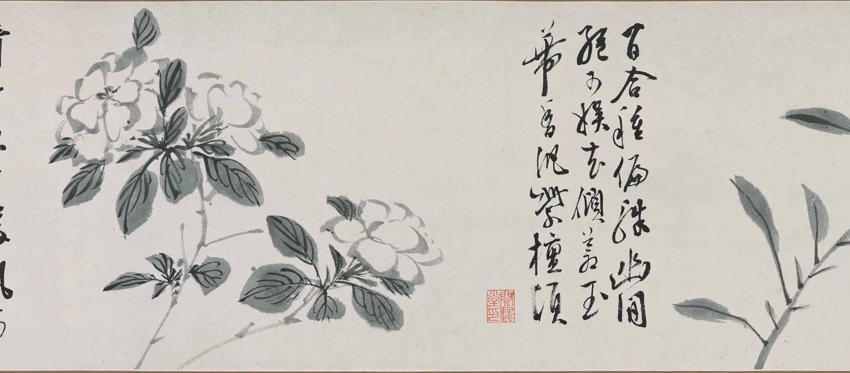明朝【陈淳(道复)】《墨花十二种图卷》 第8张 明朝【陈淳(道复)】《墨花十二种图卷》 第8张