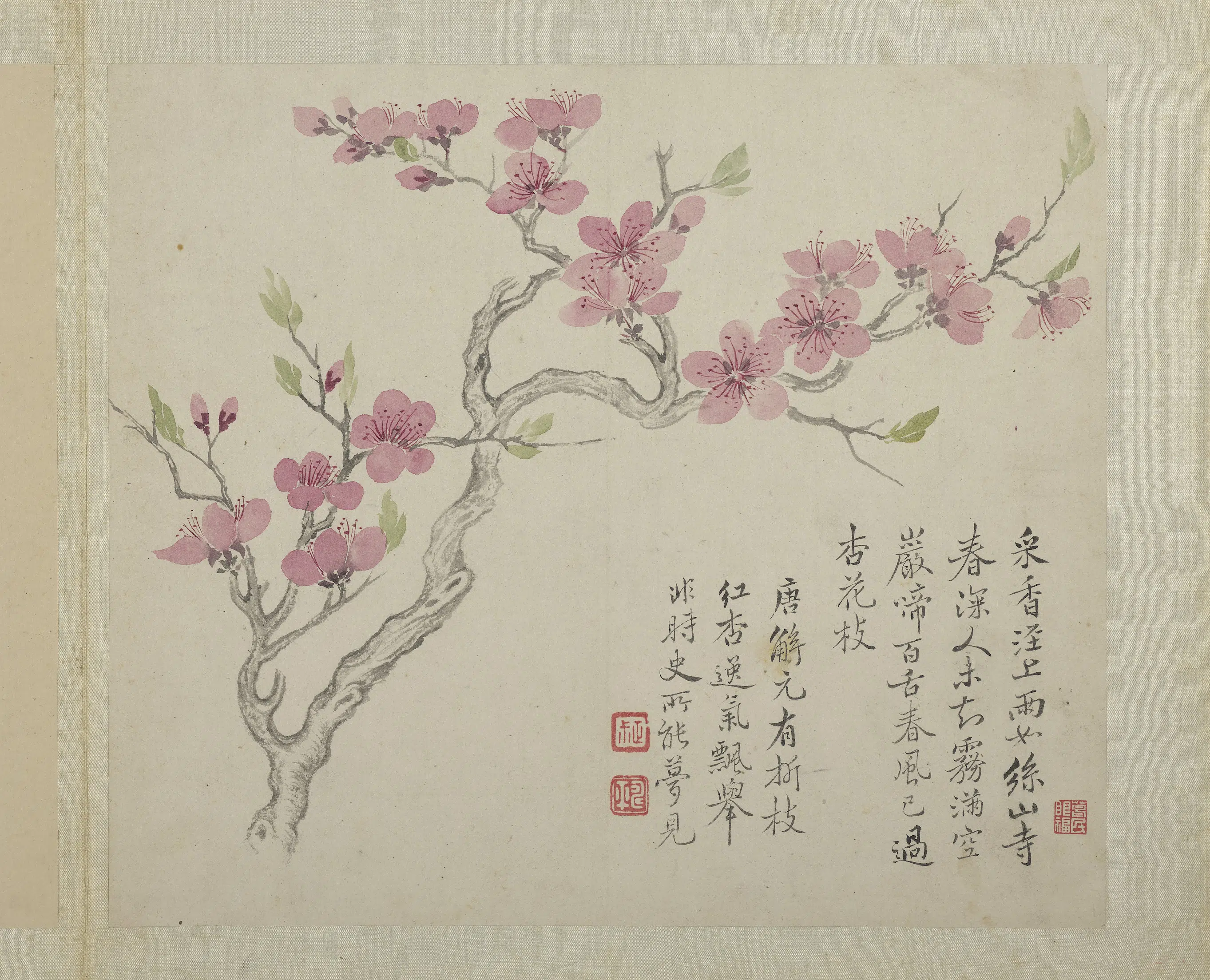 清代【恽寿平】《画花卉册-杏花》