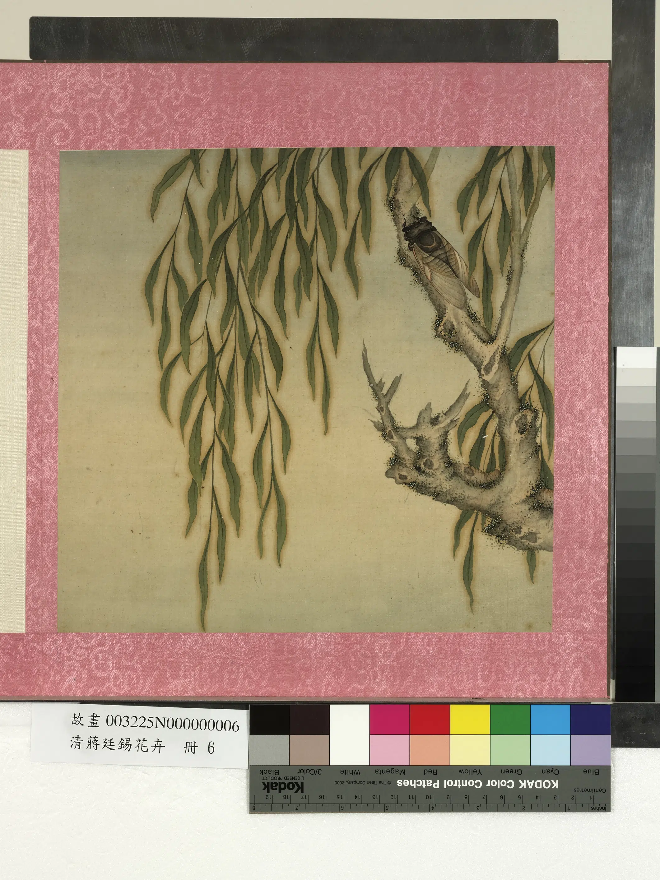 清代【蒋廷锡】《花卉册》 第2张