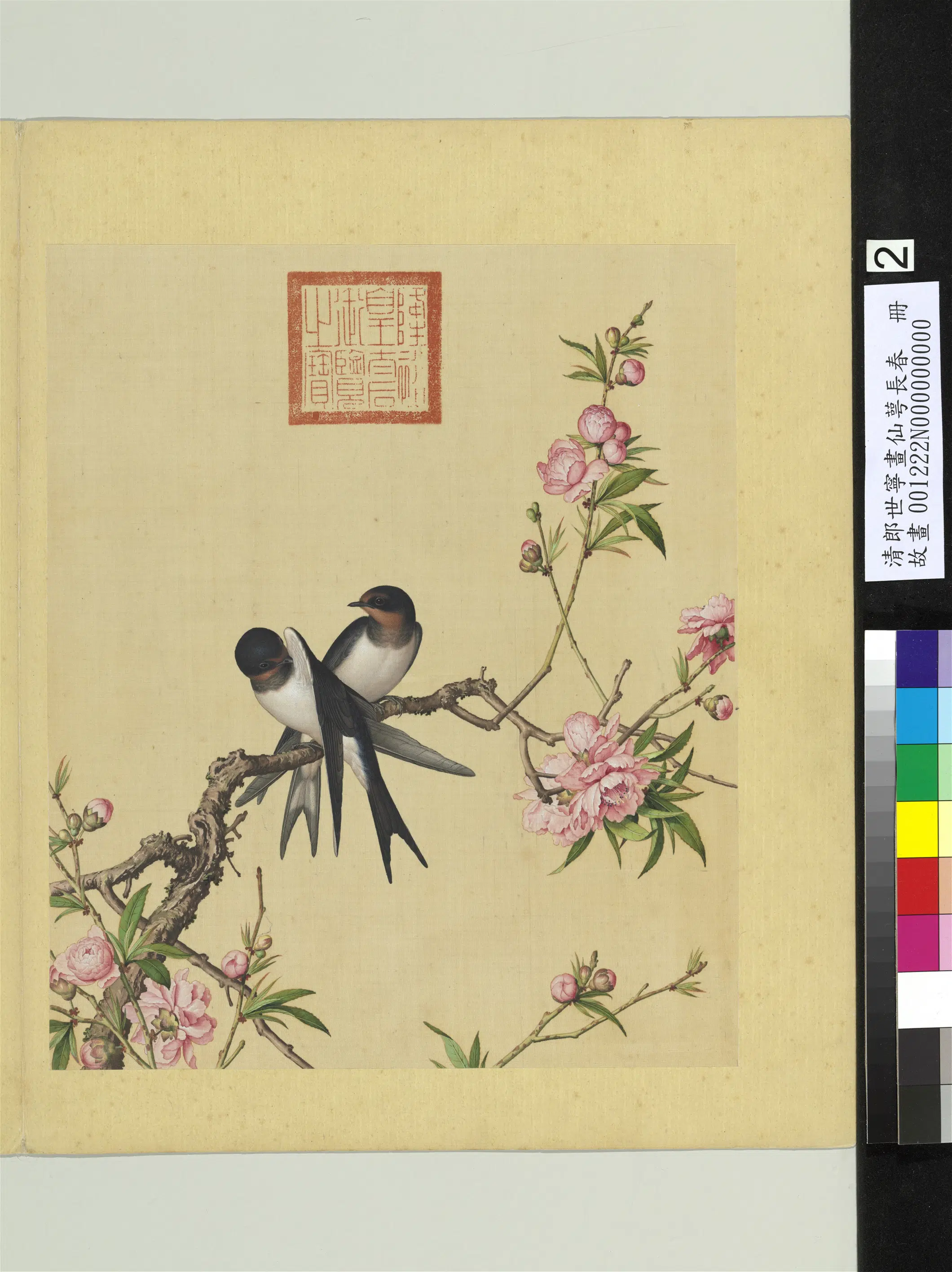 清代【郎世宁】《画仙萼长春册》 第1张 清代【郎世宁】《画仙萼长春册》 第1张